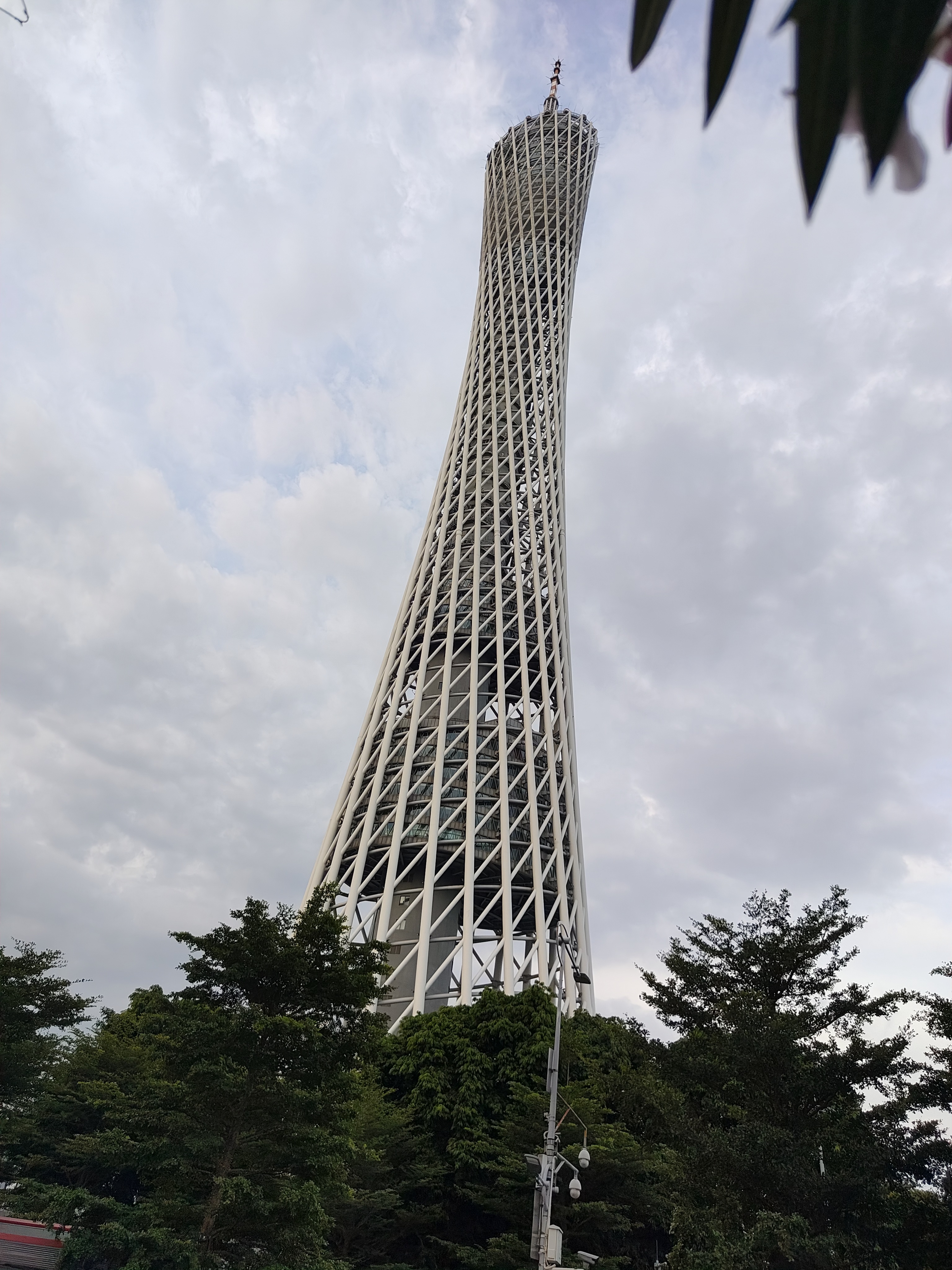 相册照片