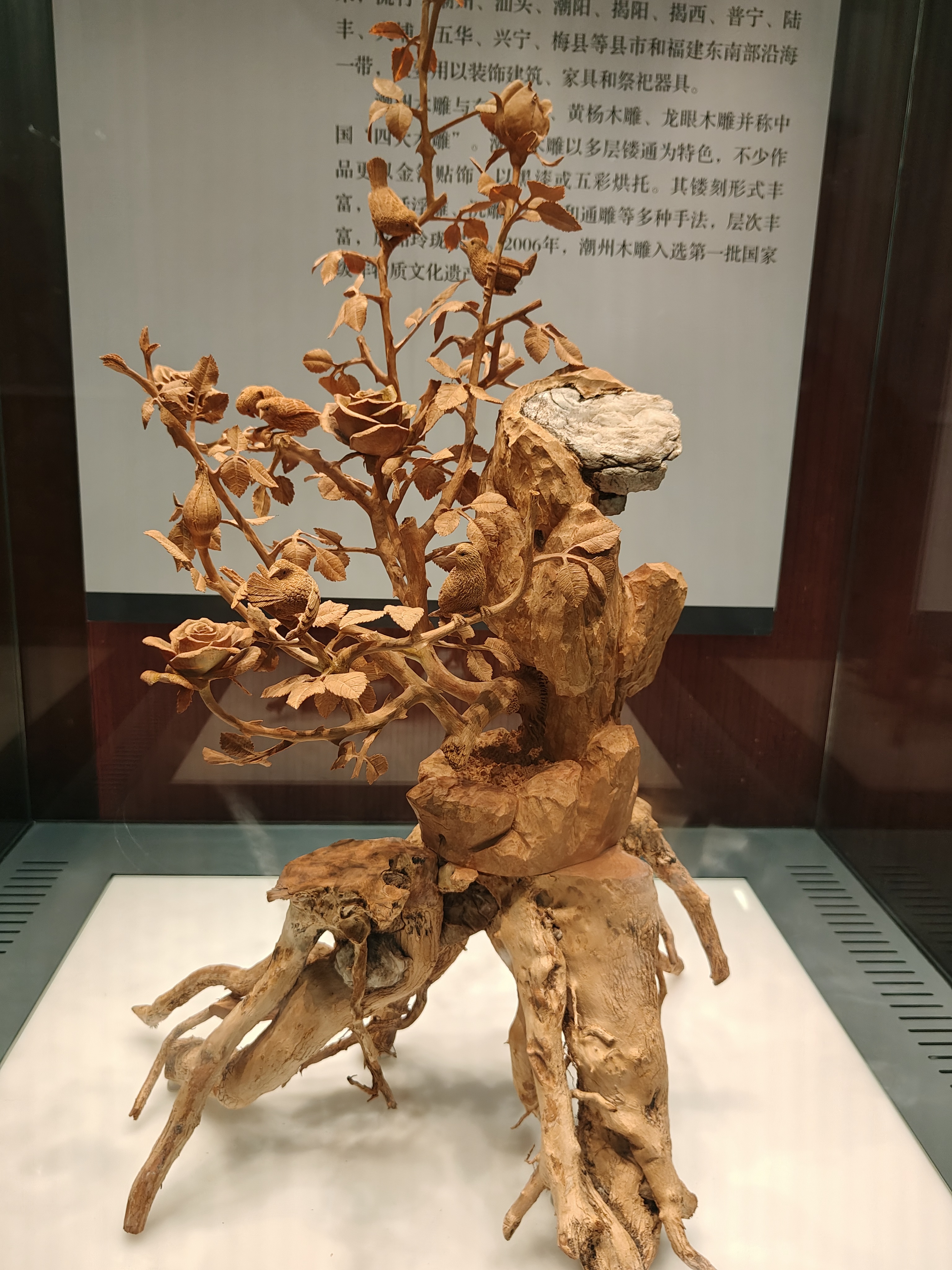 相册照片