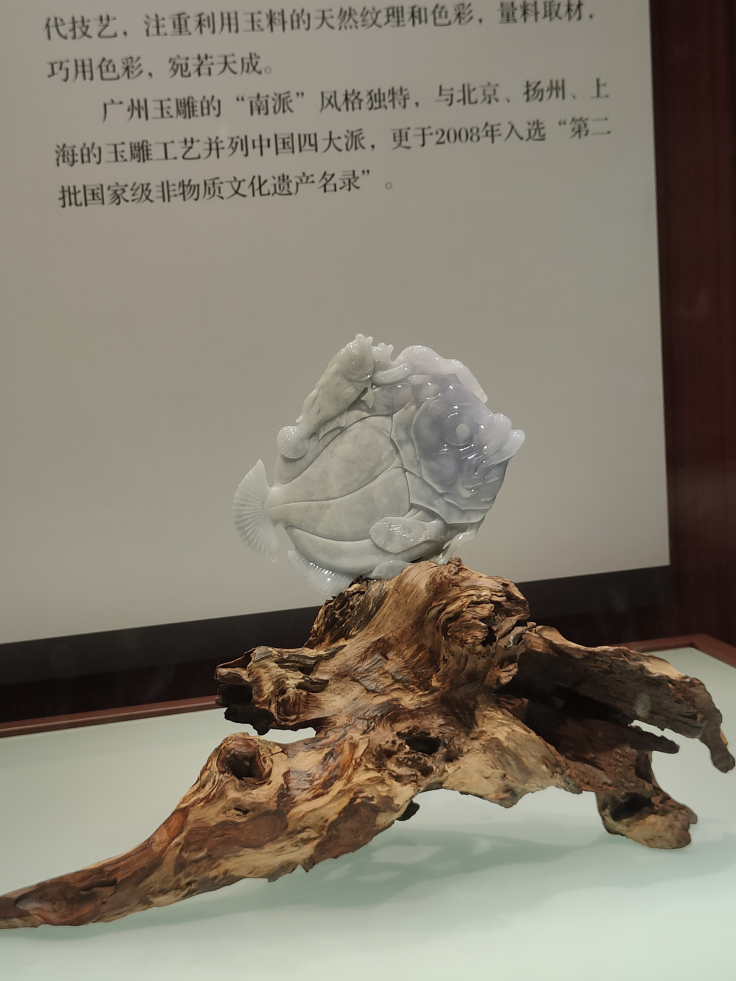 相册照片