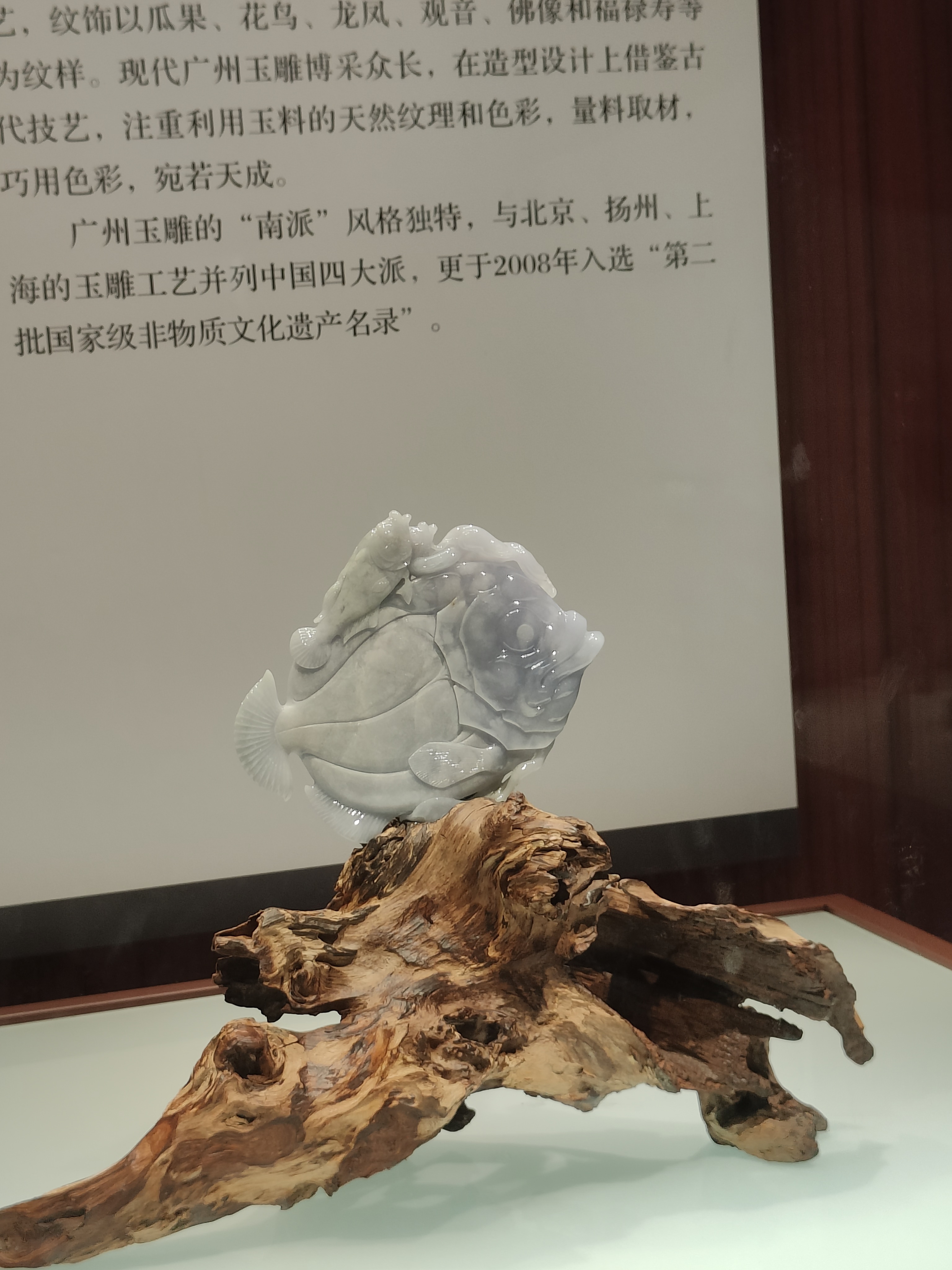 相册照片