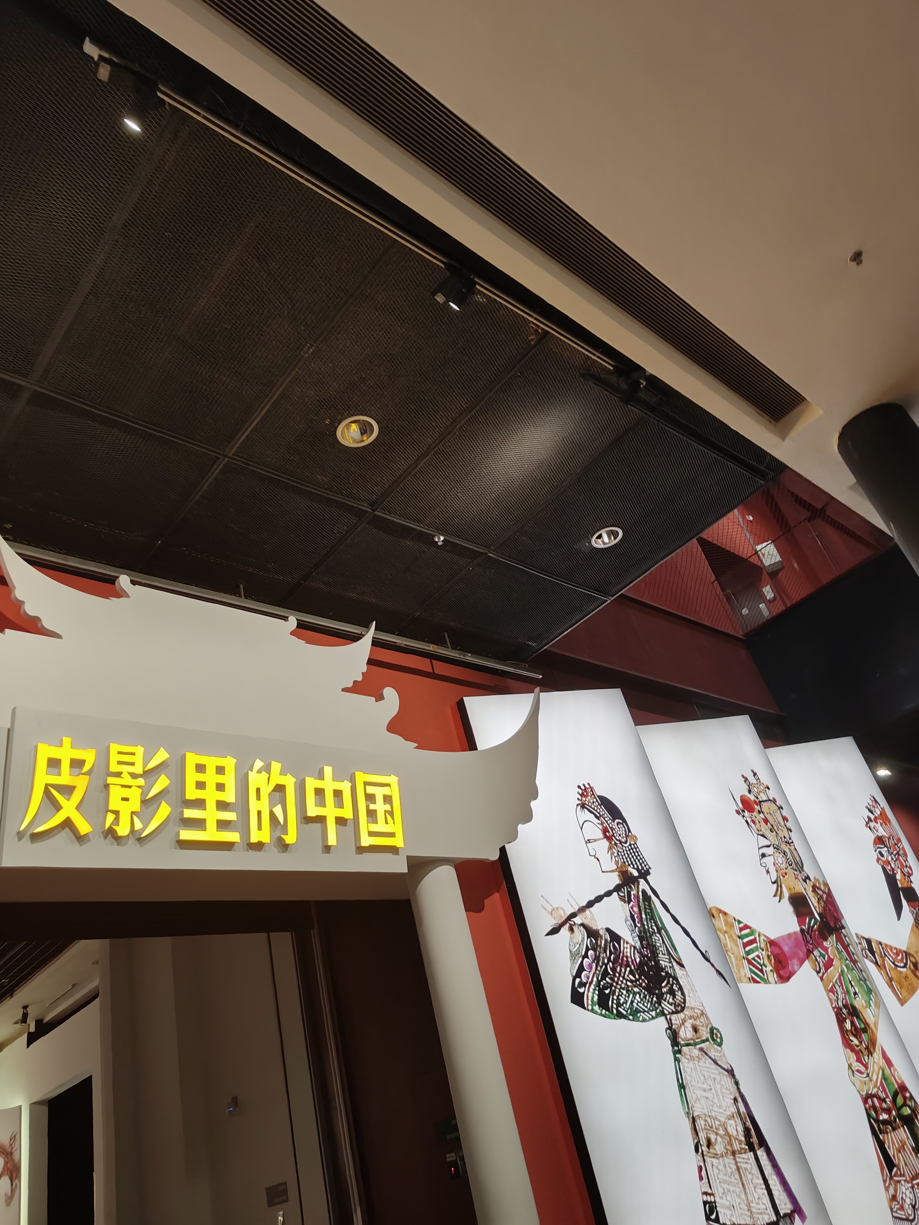 相册照片