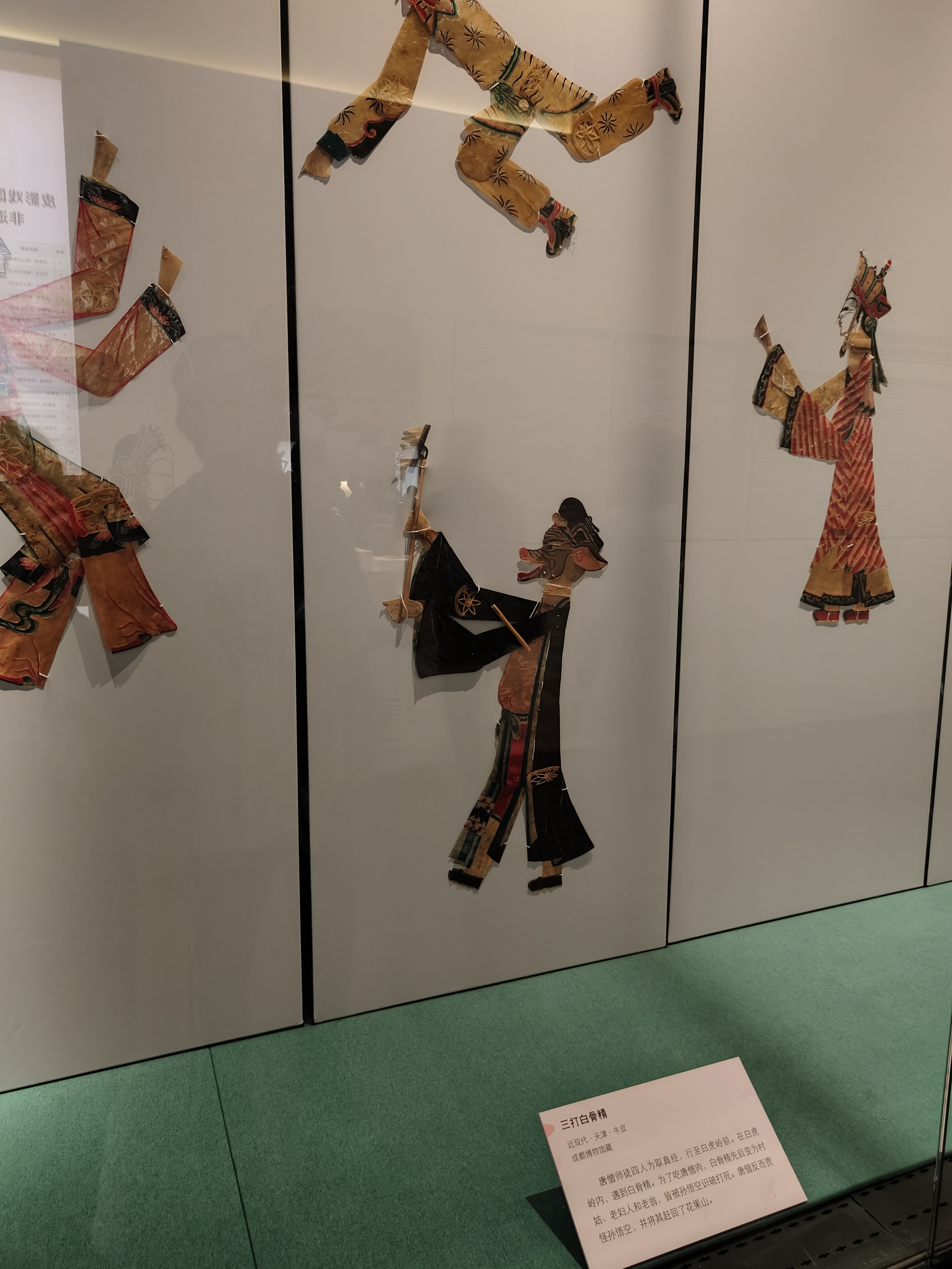 相册照片