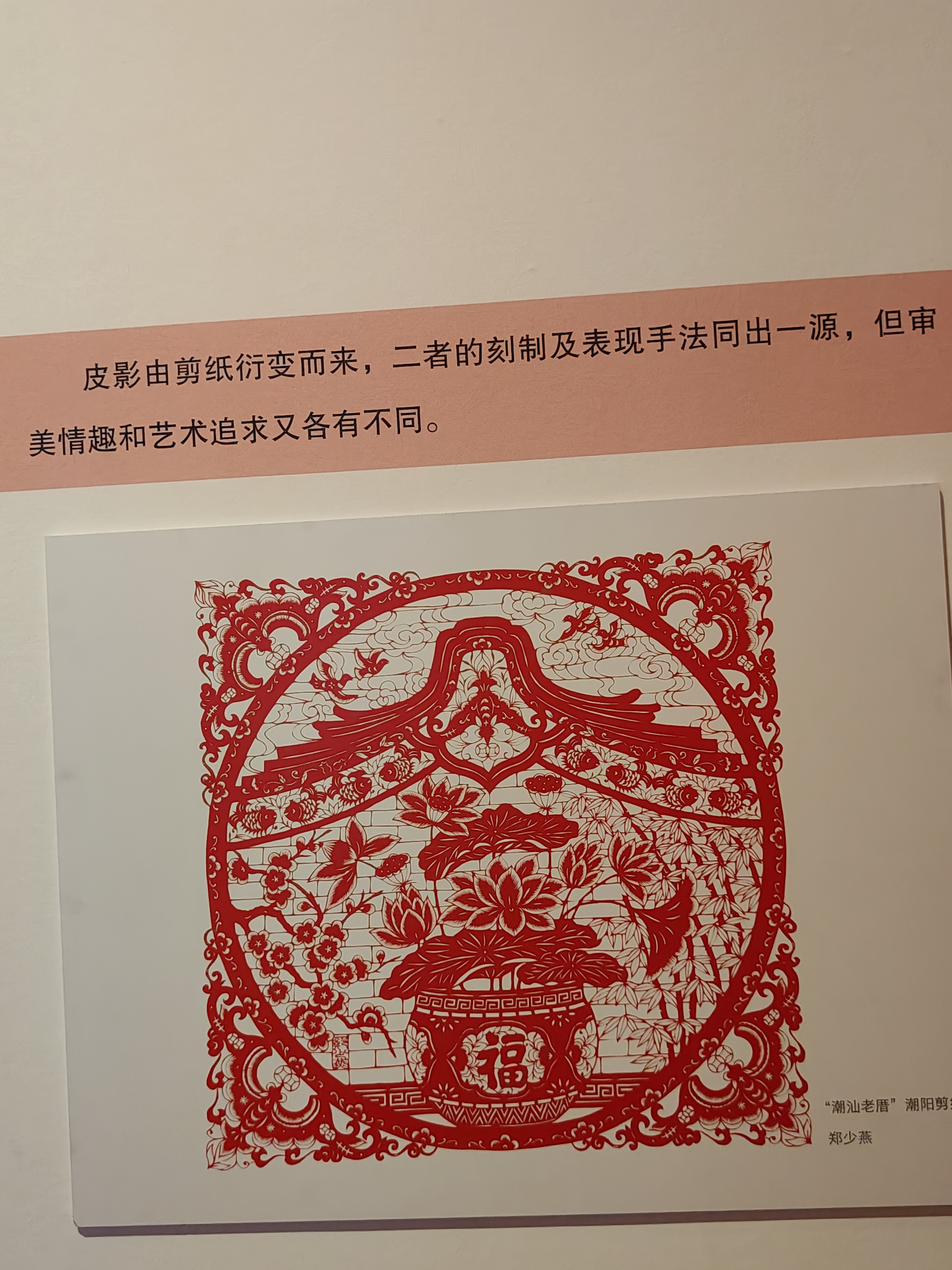 20241116 封面