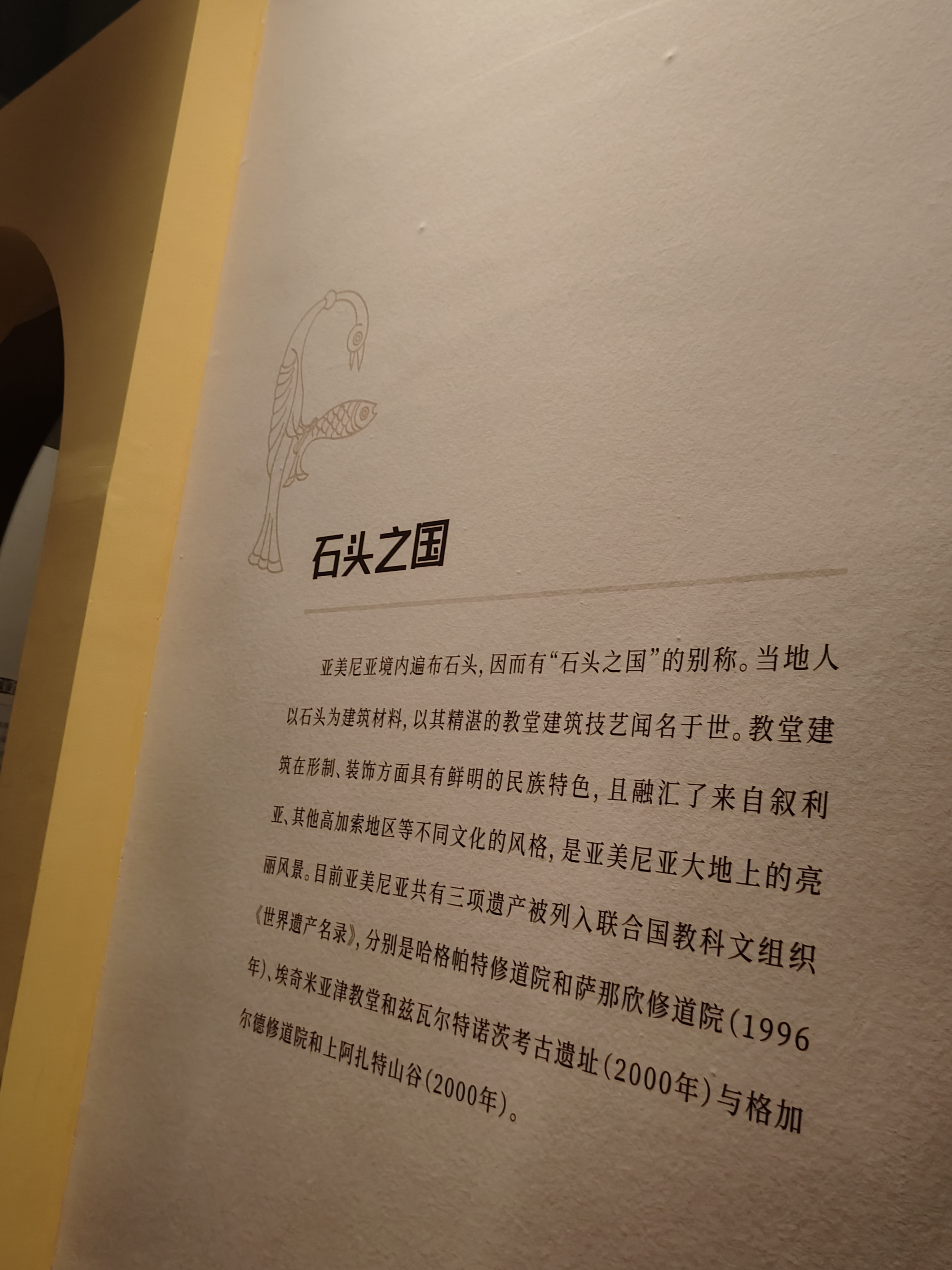 相册照片