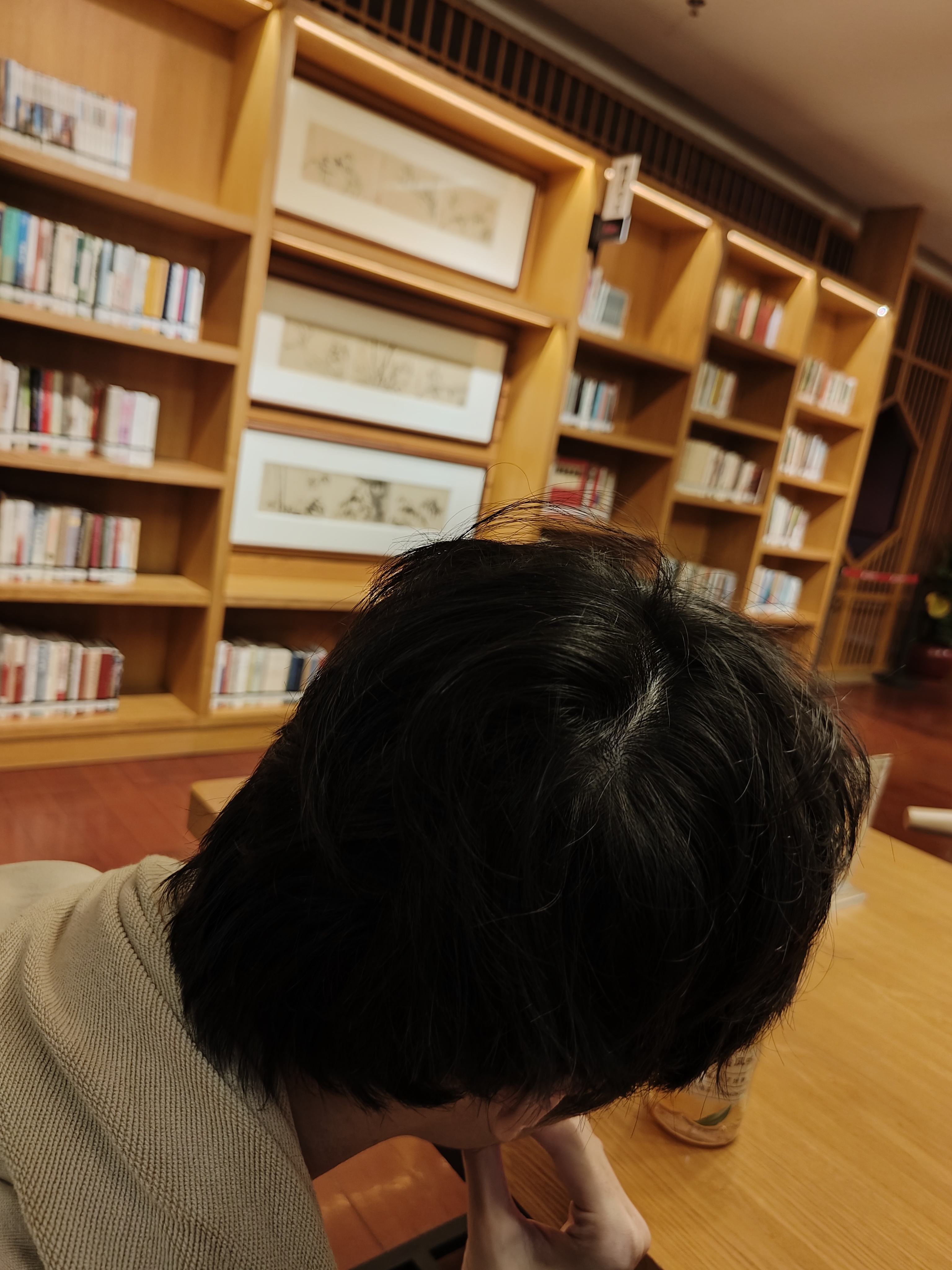 相册照片