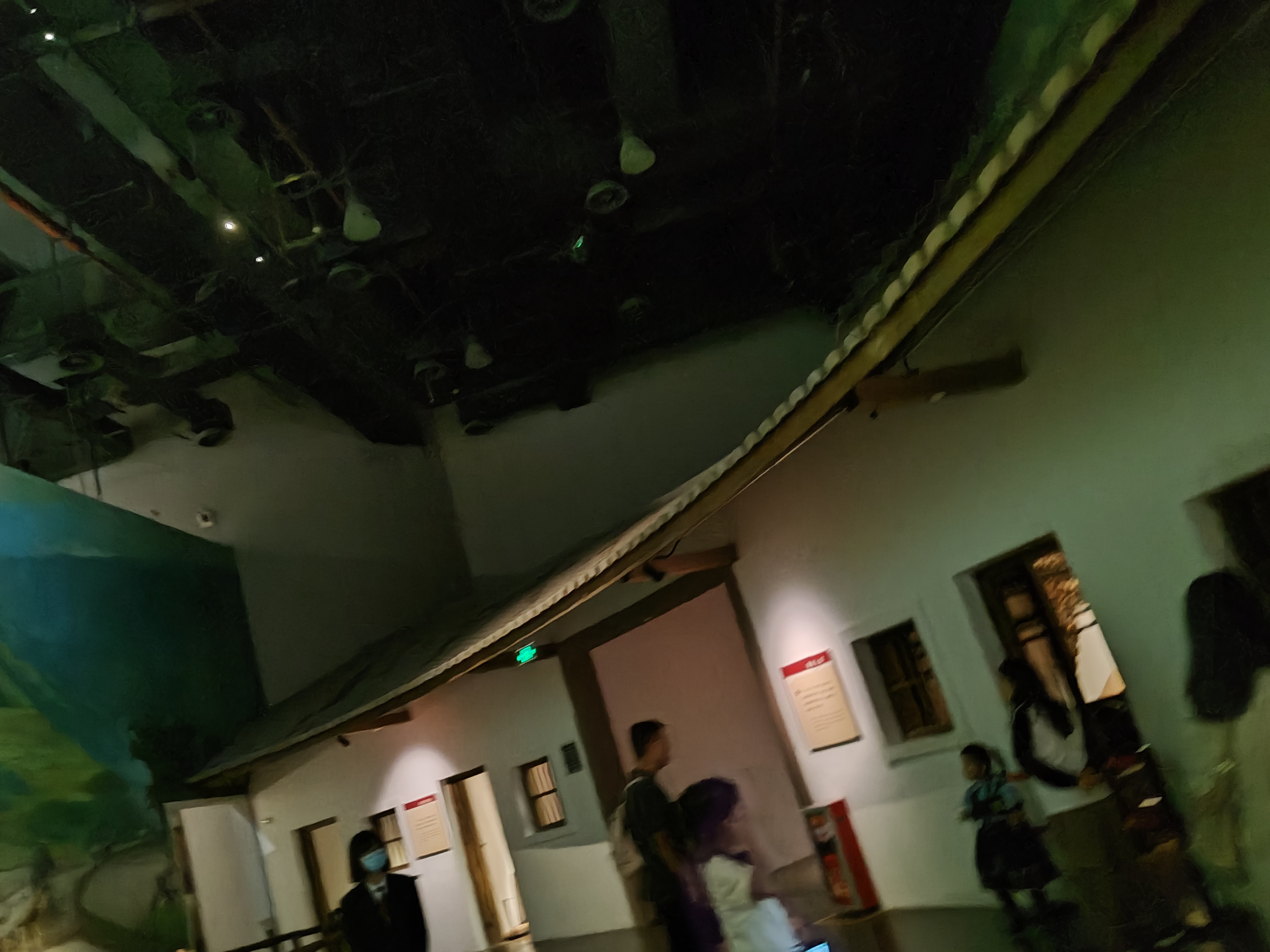相册照片
