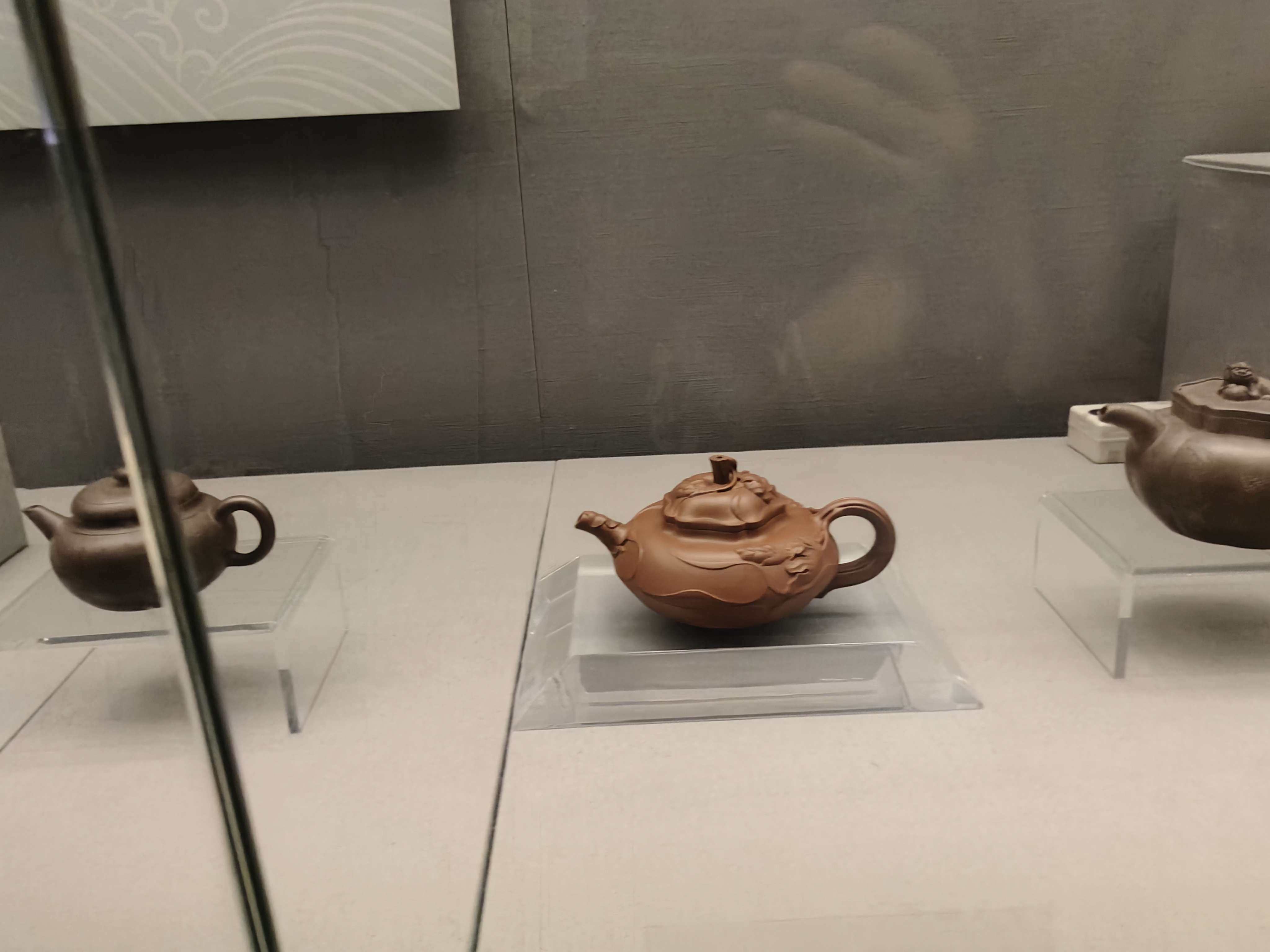 相册照片