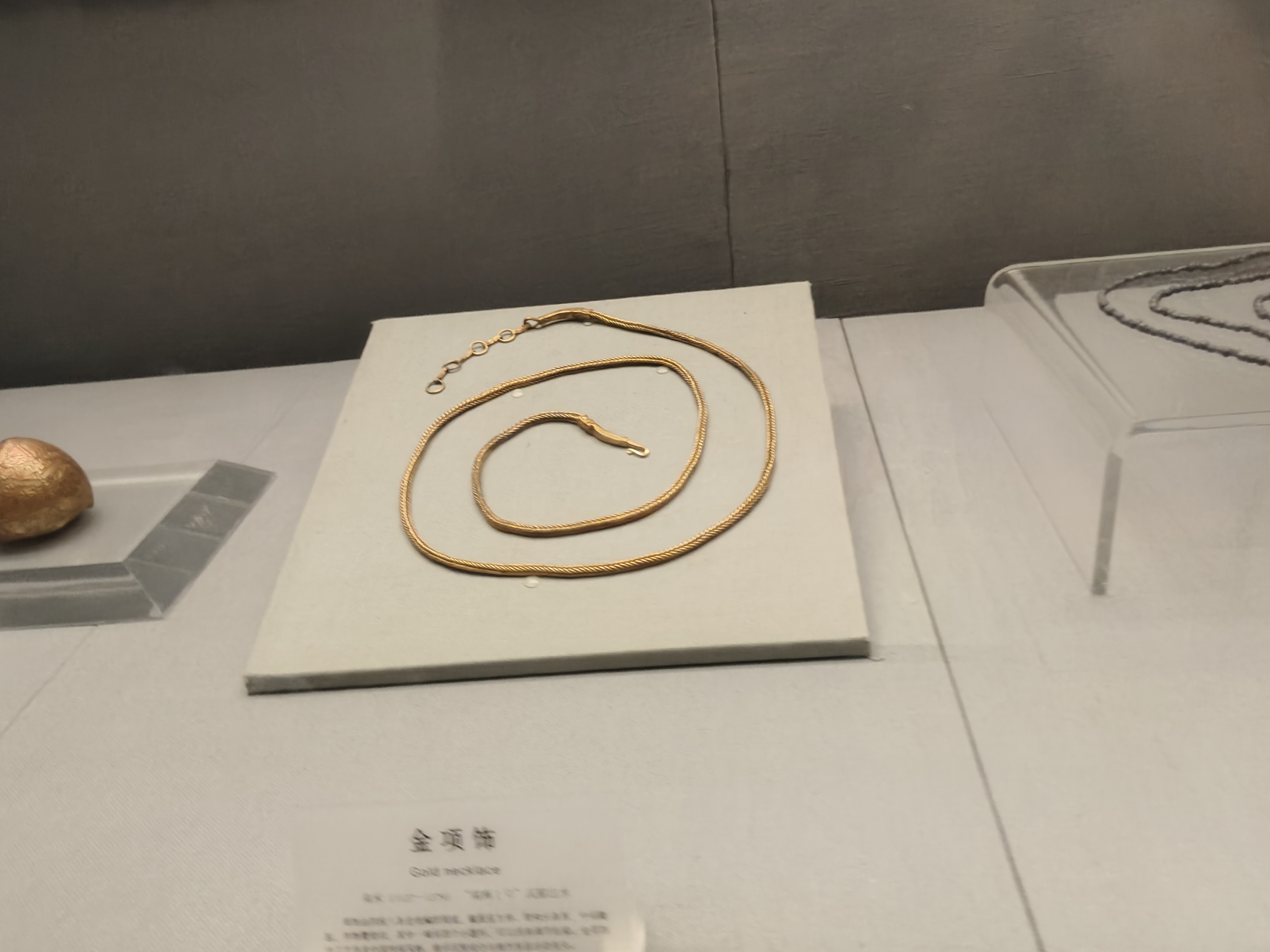 相册照片