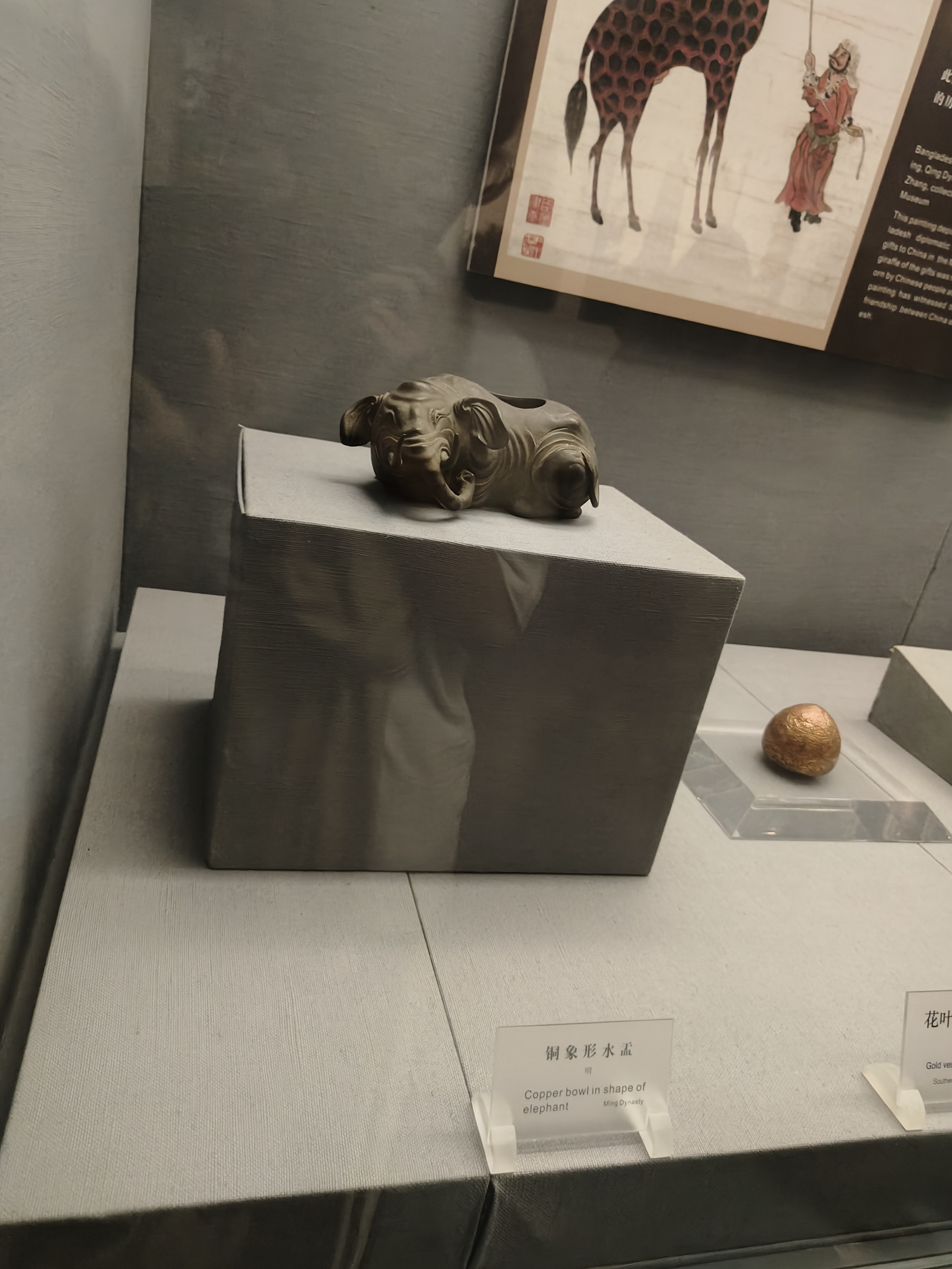 相册照片