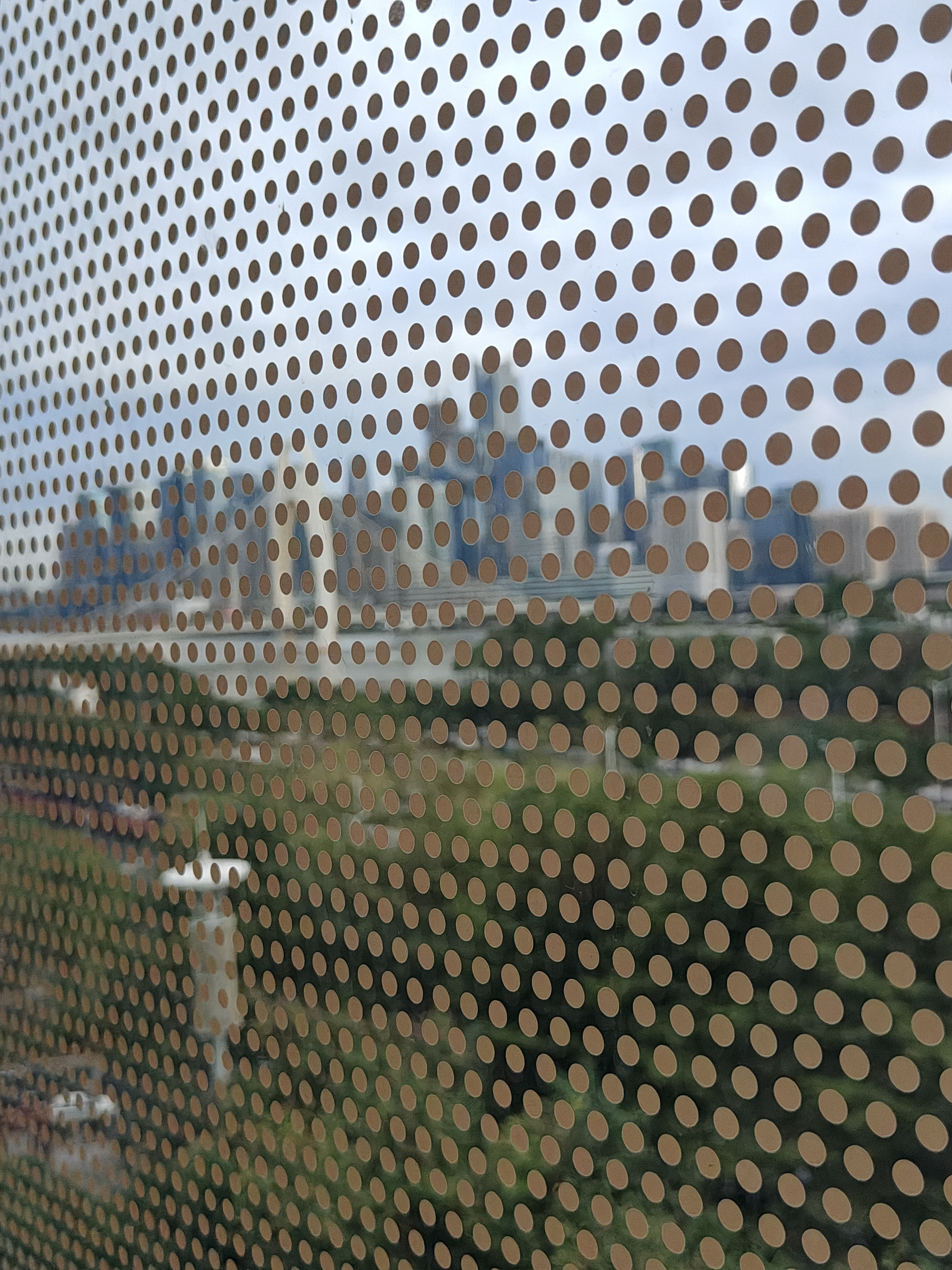相册照片