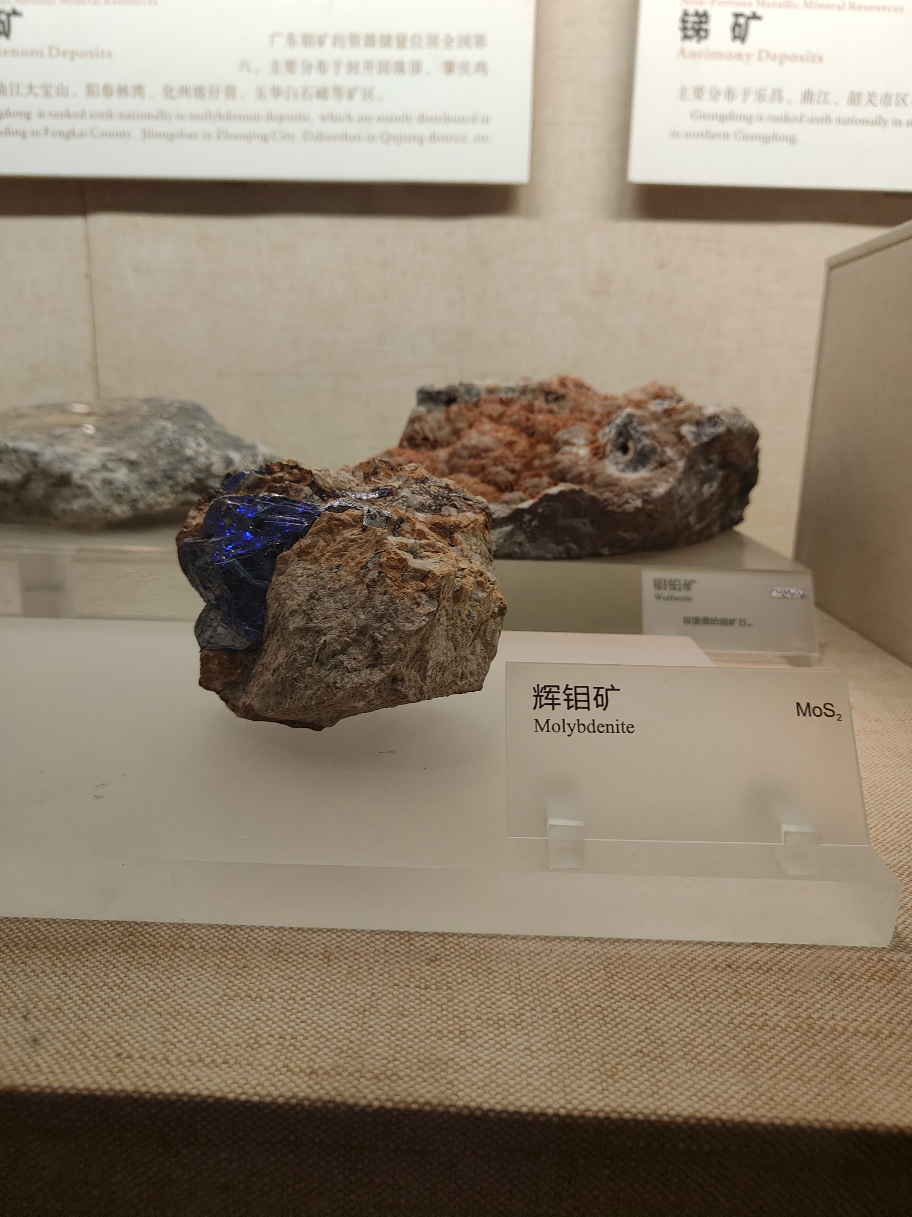 相册照片
