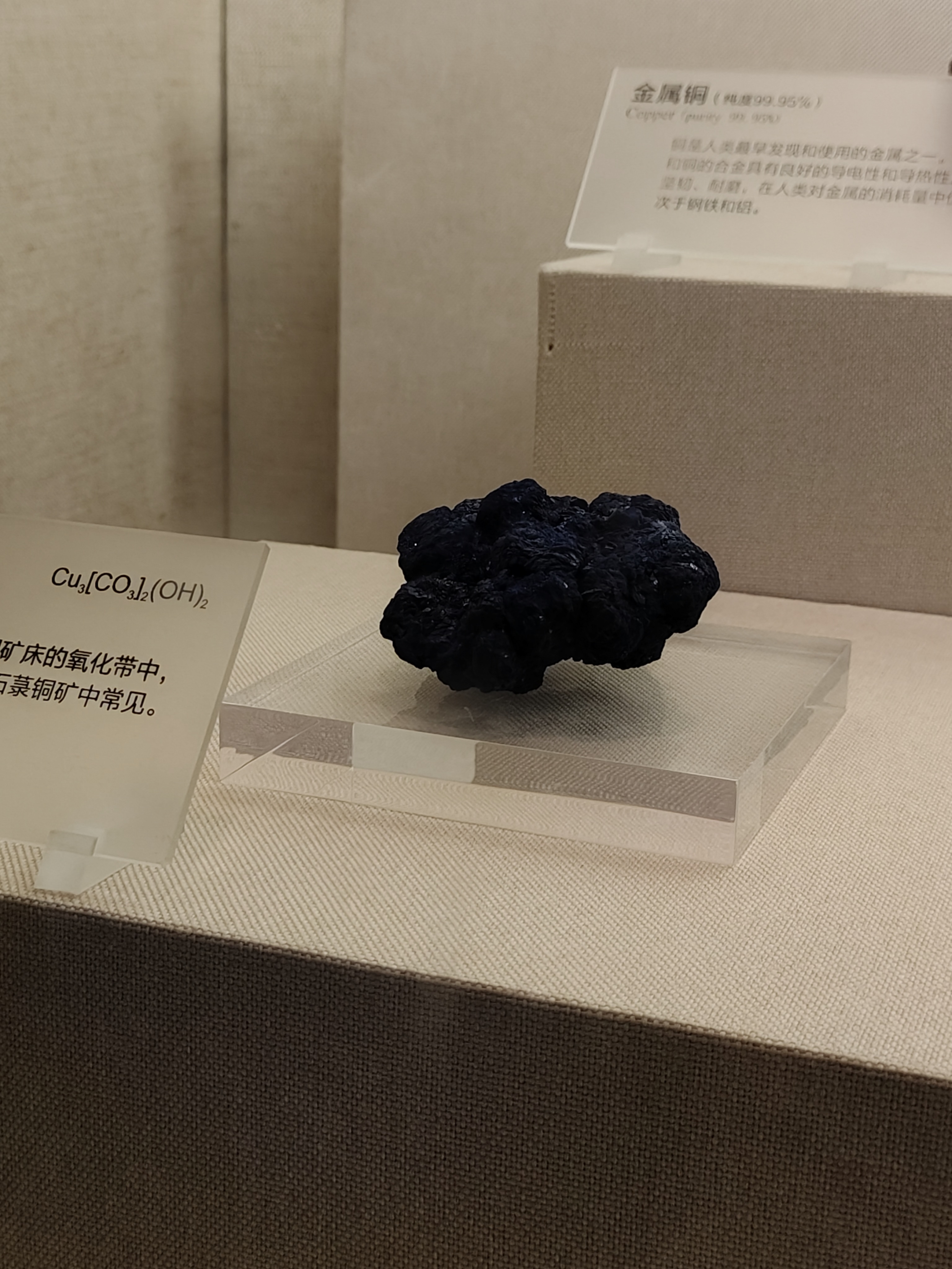相册照片