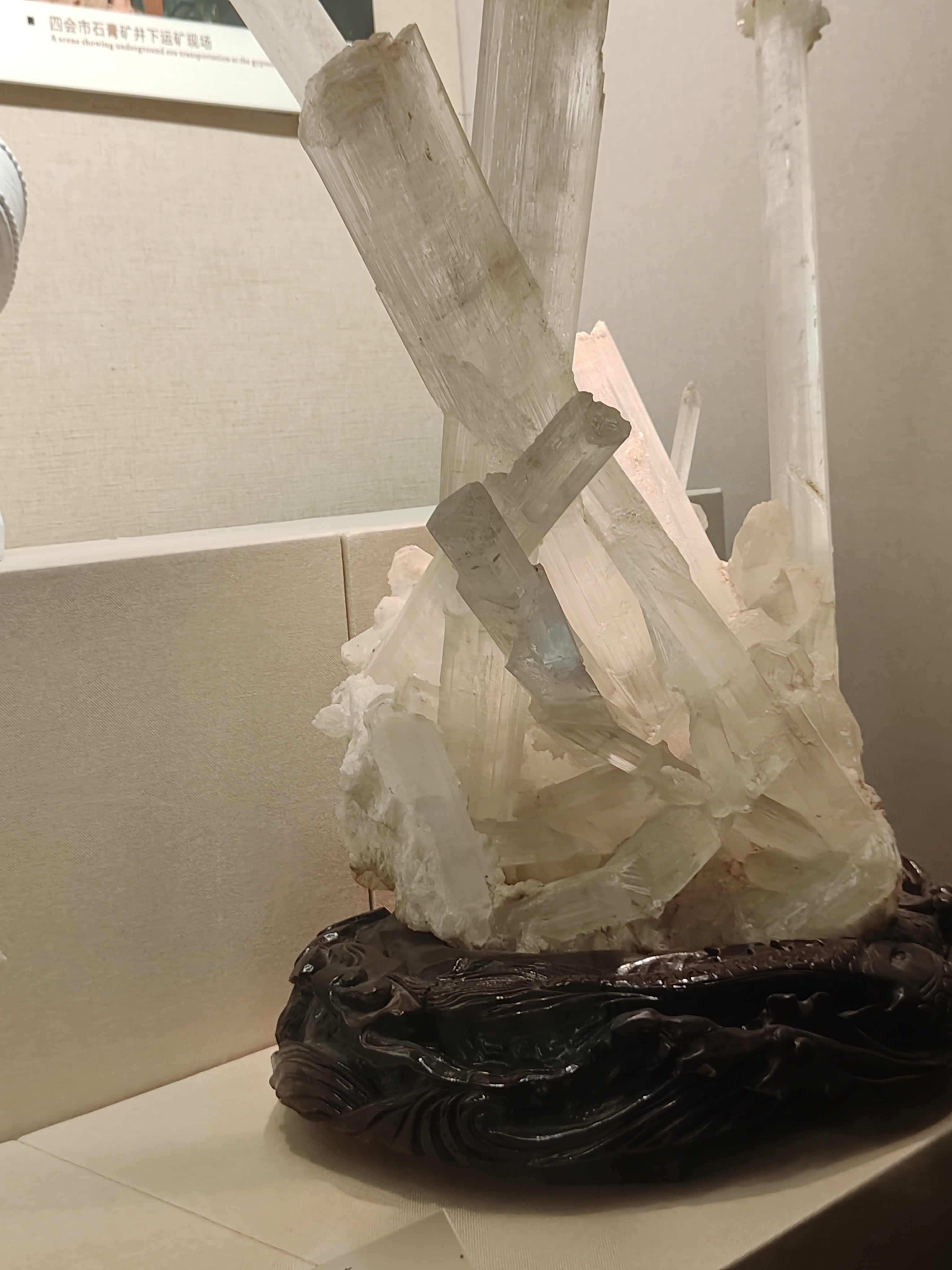 相册照片