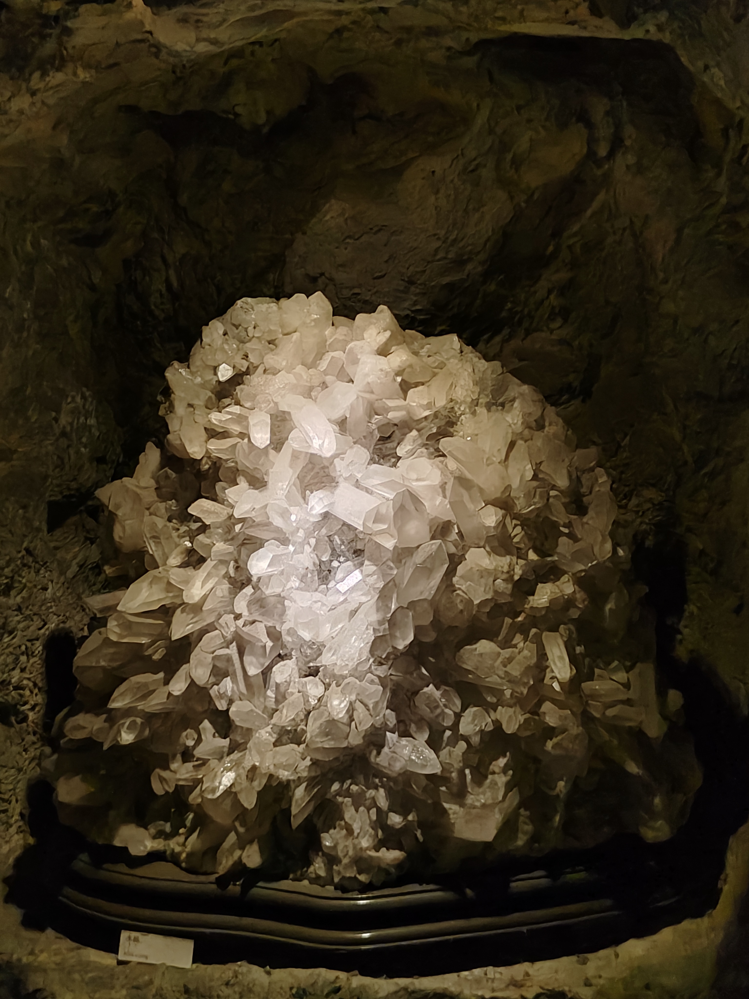 相册照片