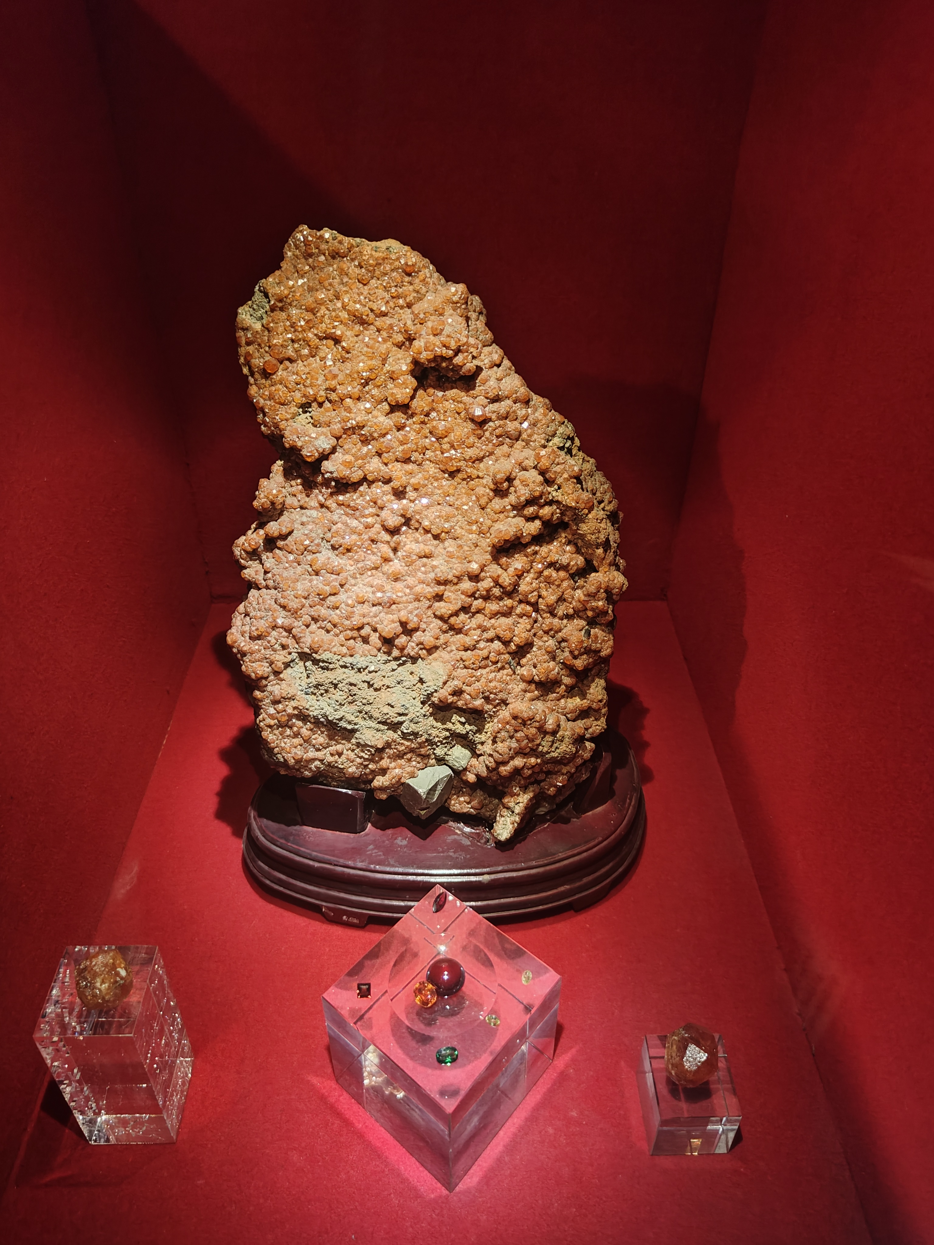 相册照片