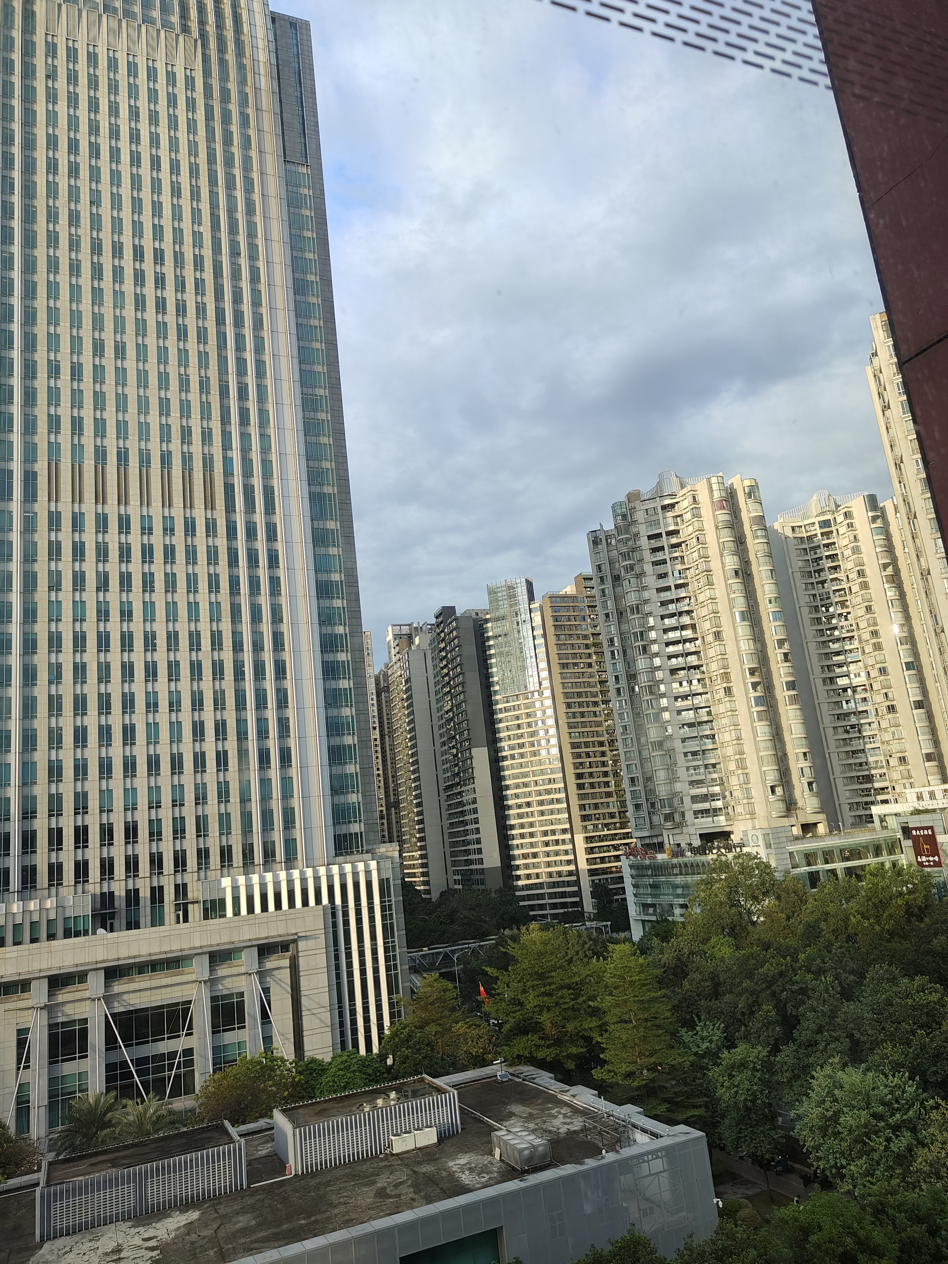 相册照片
