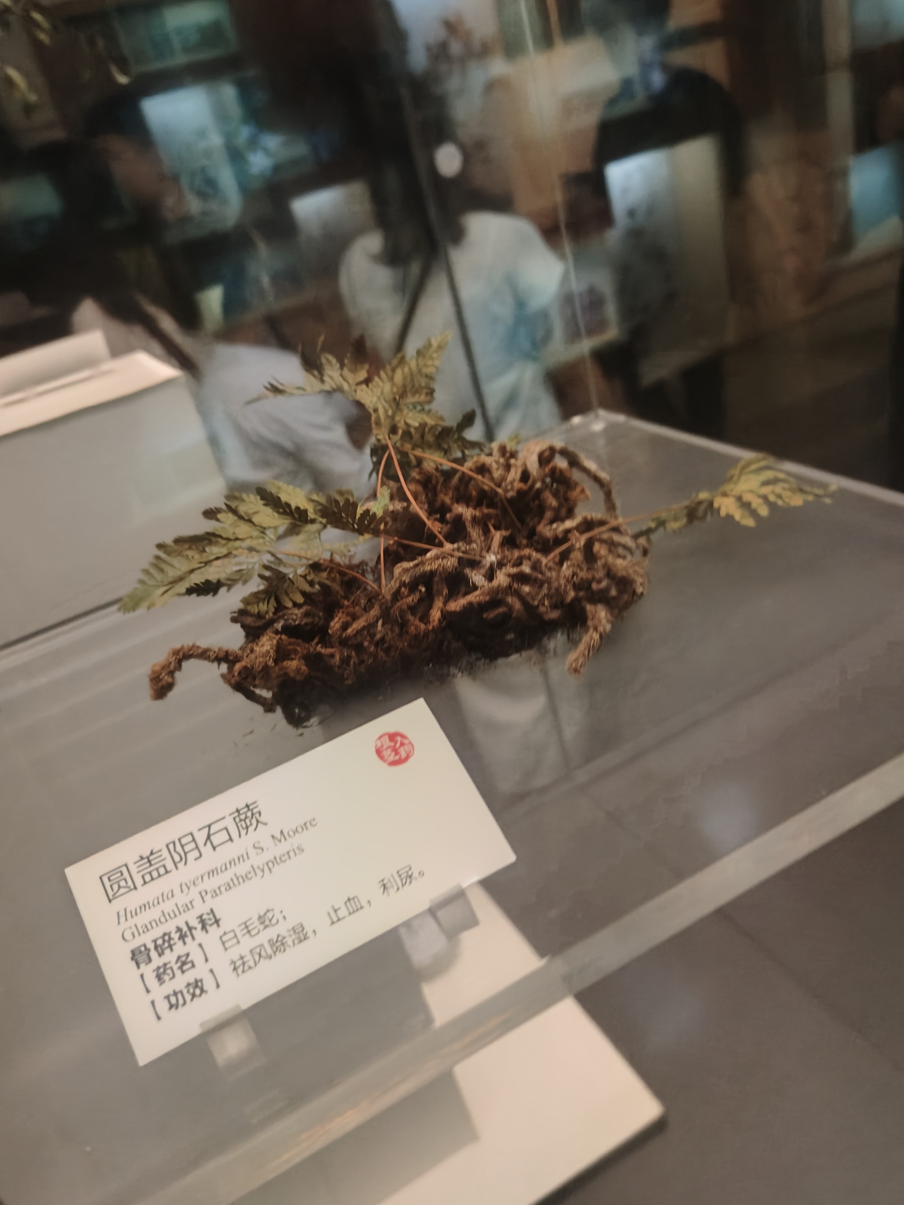 相册照片