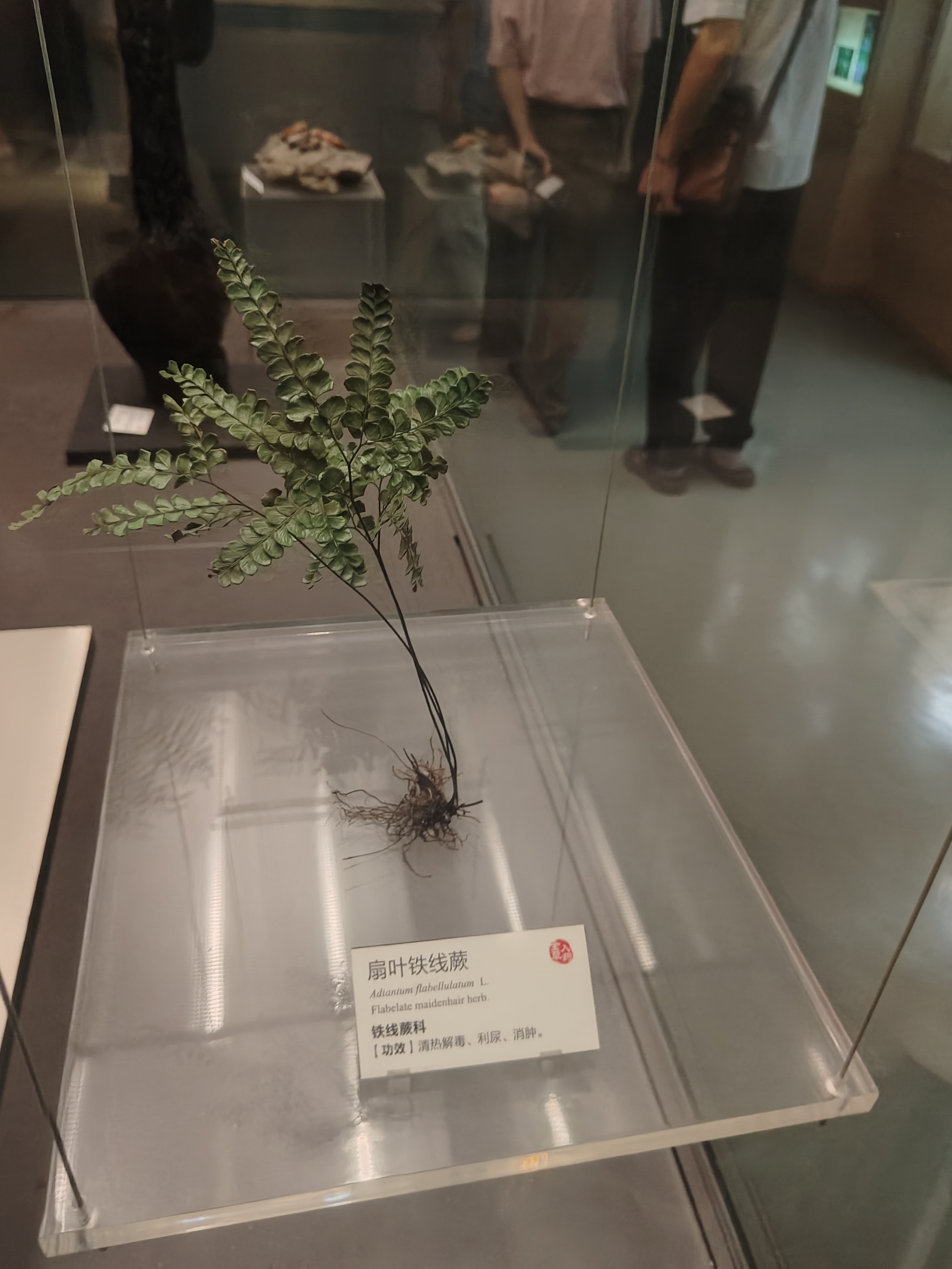 相册照片