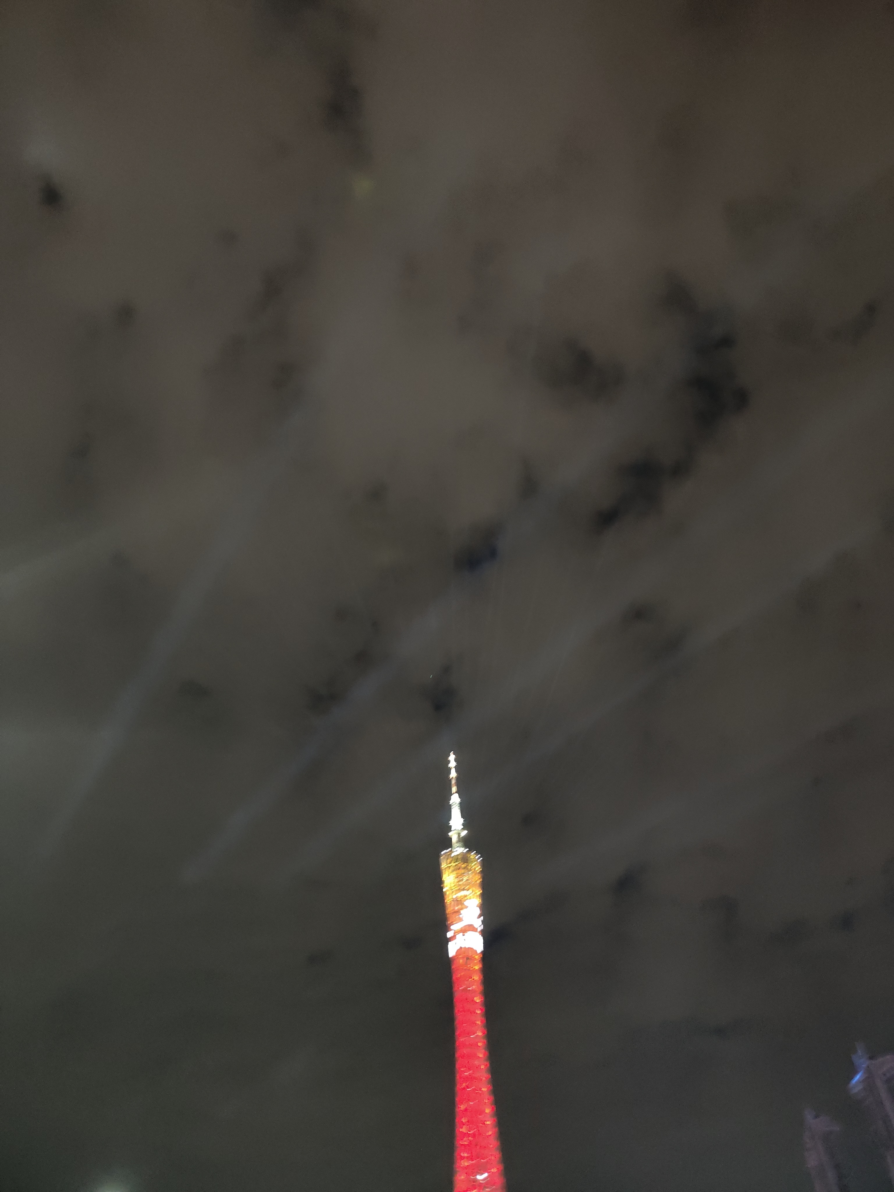 相册照片