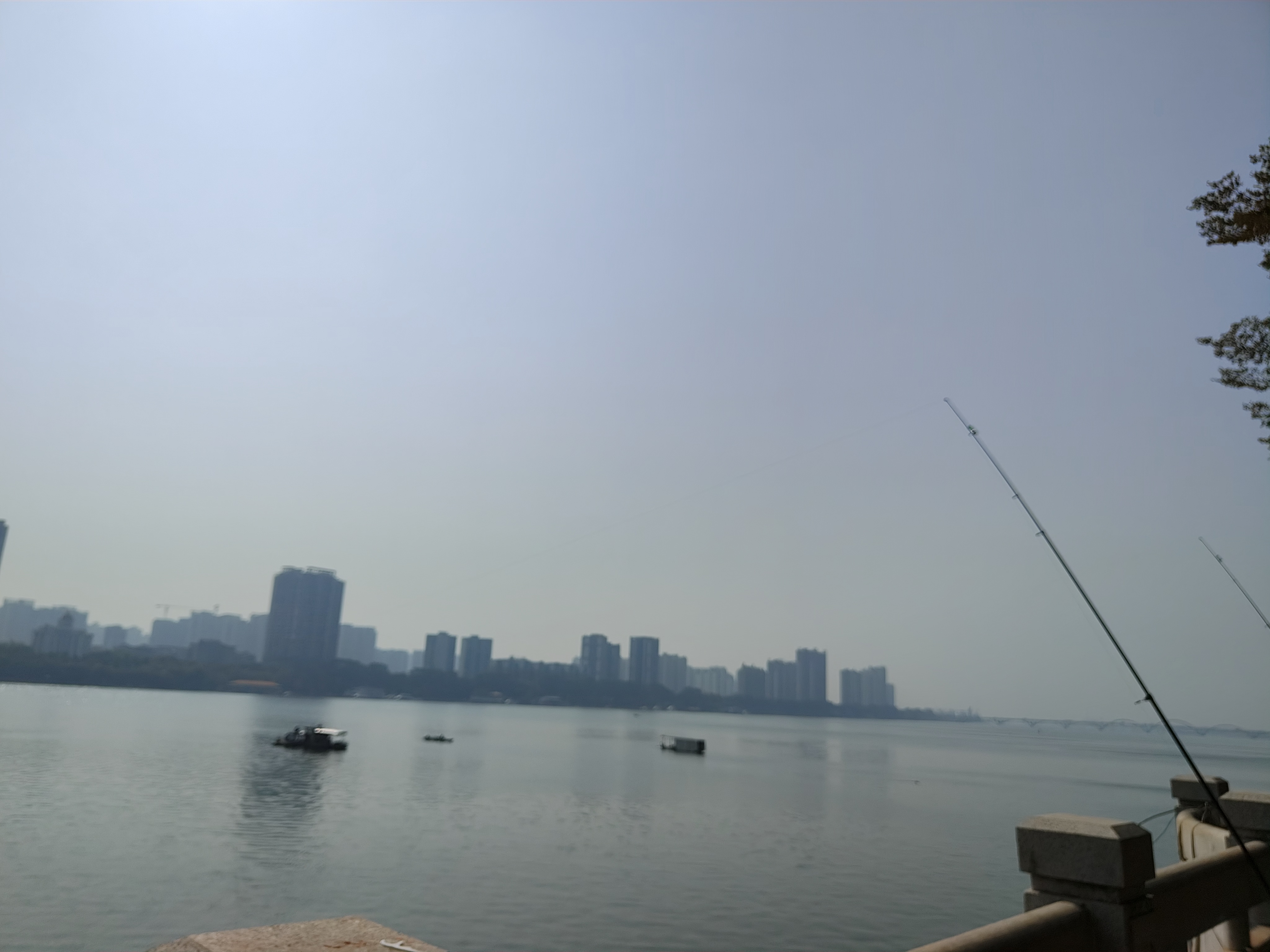 相册照片