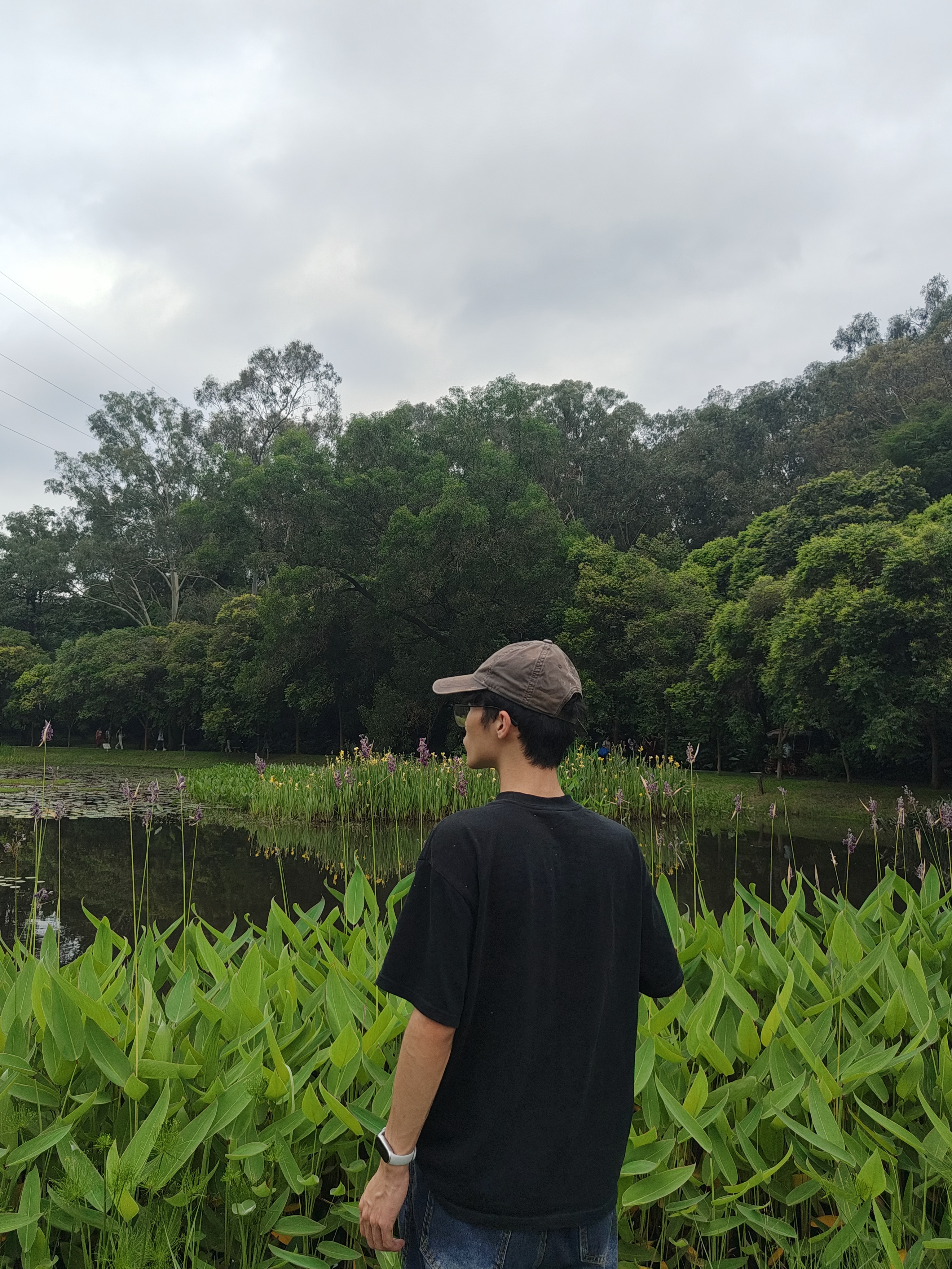 相册照片