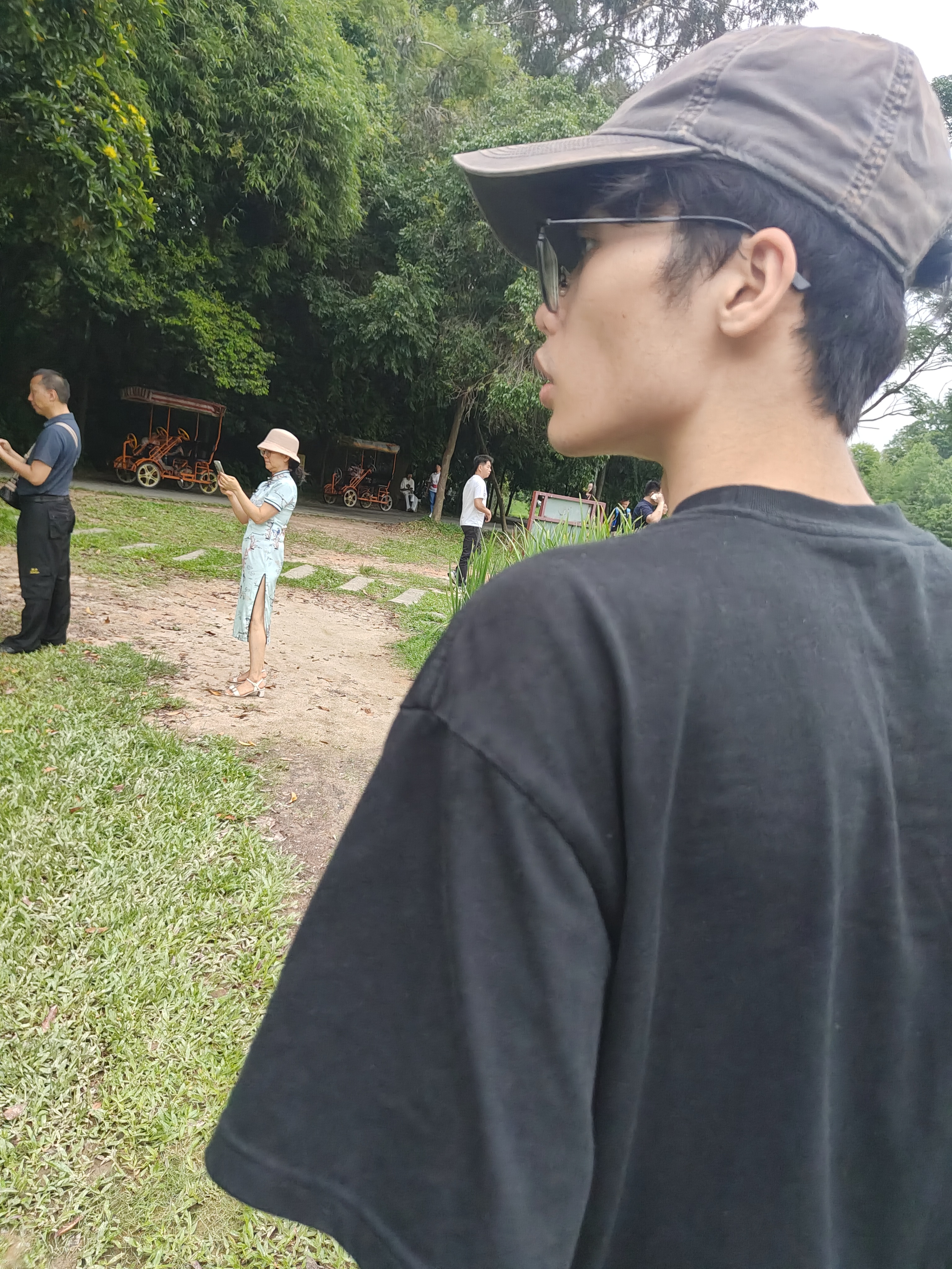 相册照片