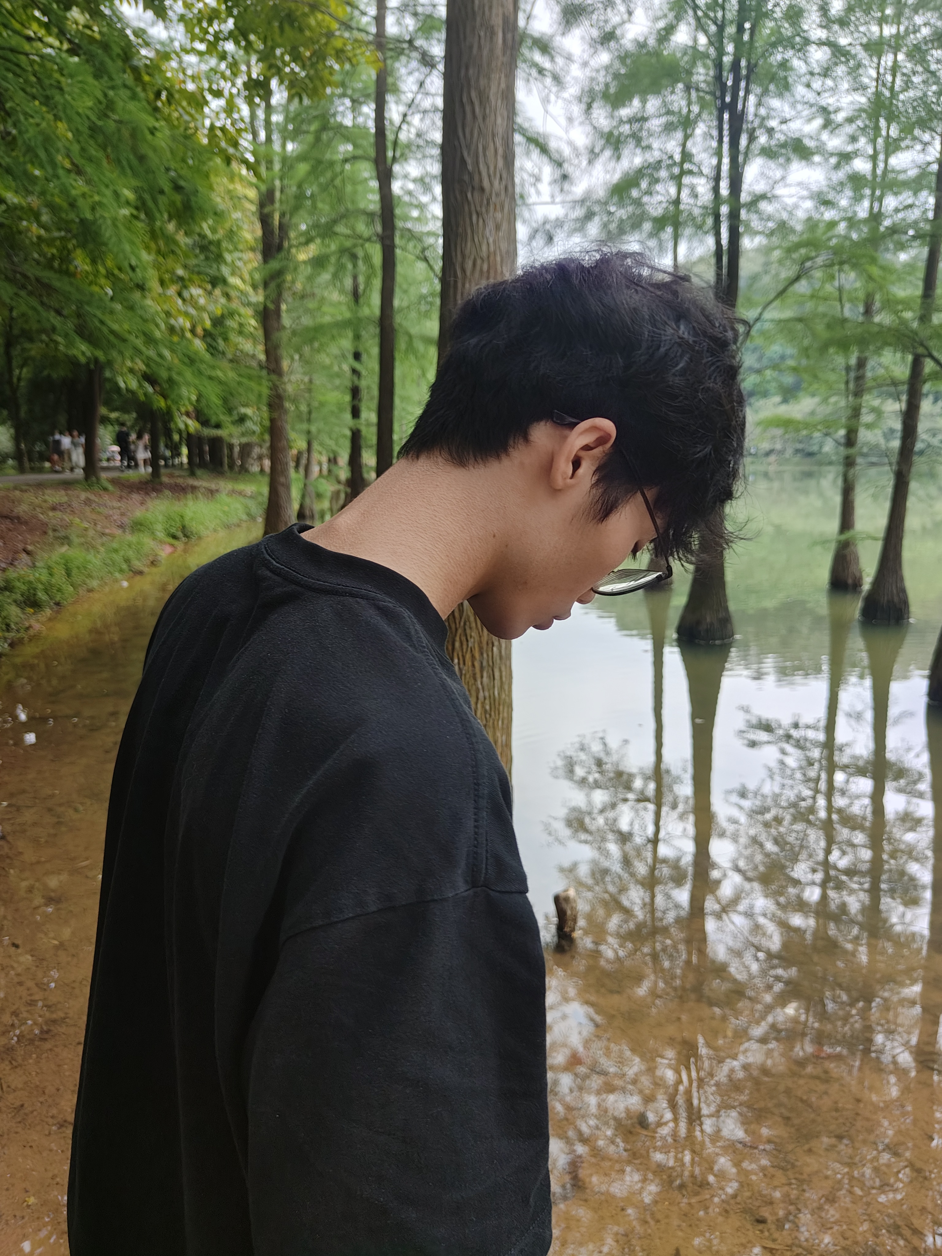 相册照片