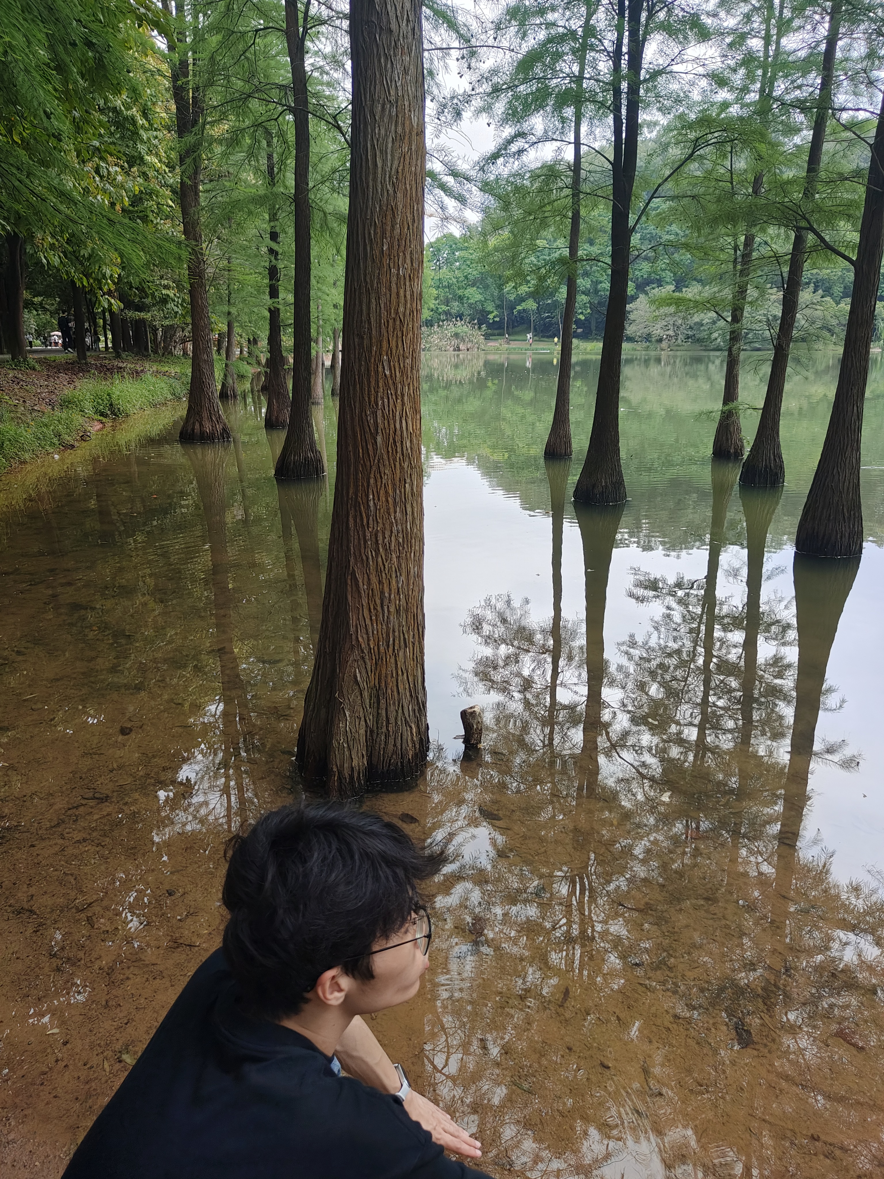 相册照片