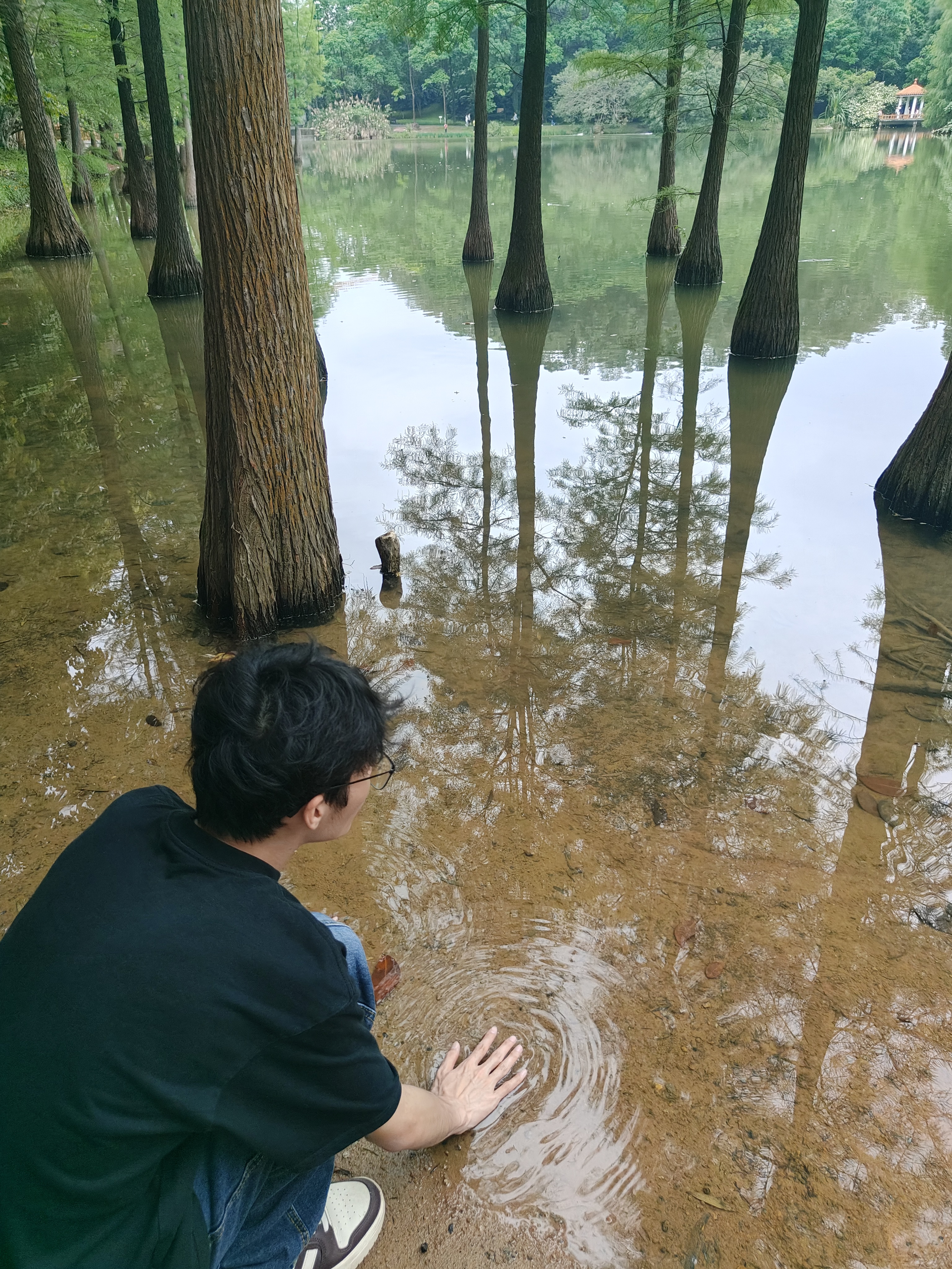 相册照片