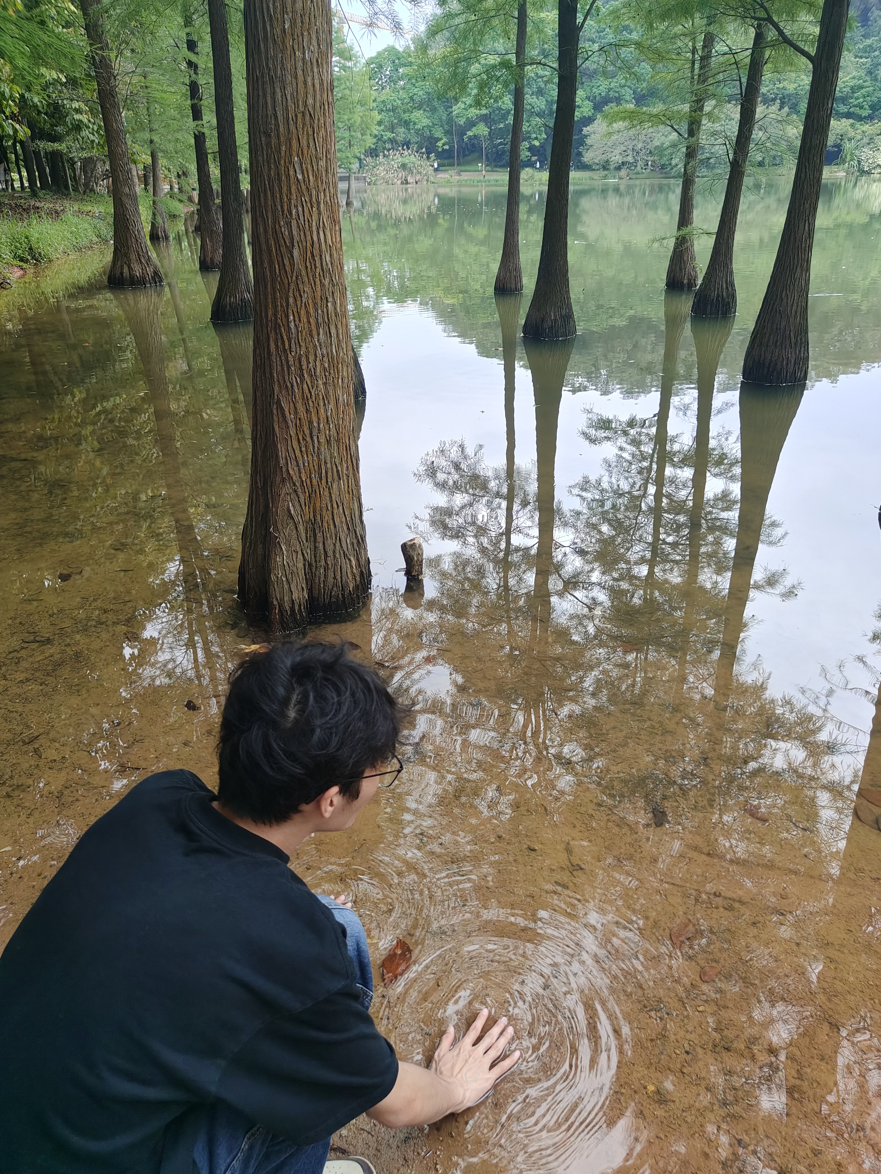 相册照片