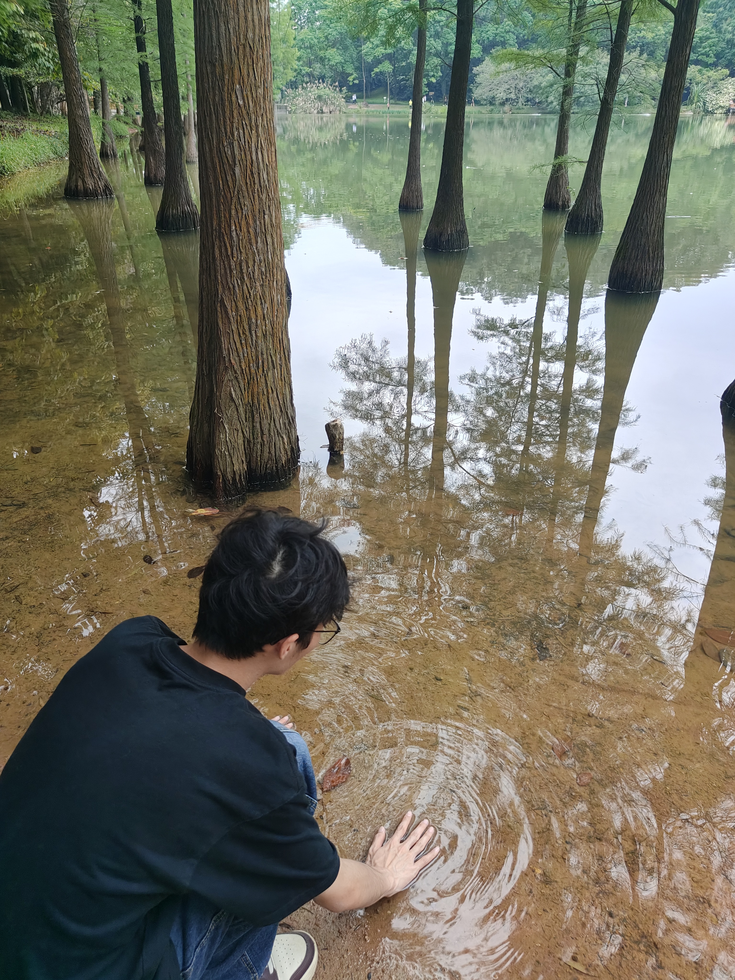 相册照片