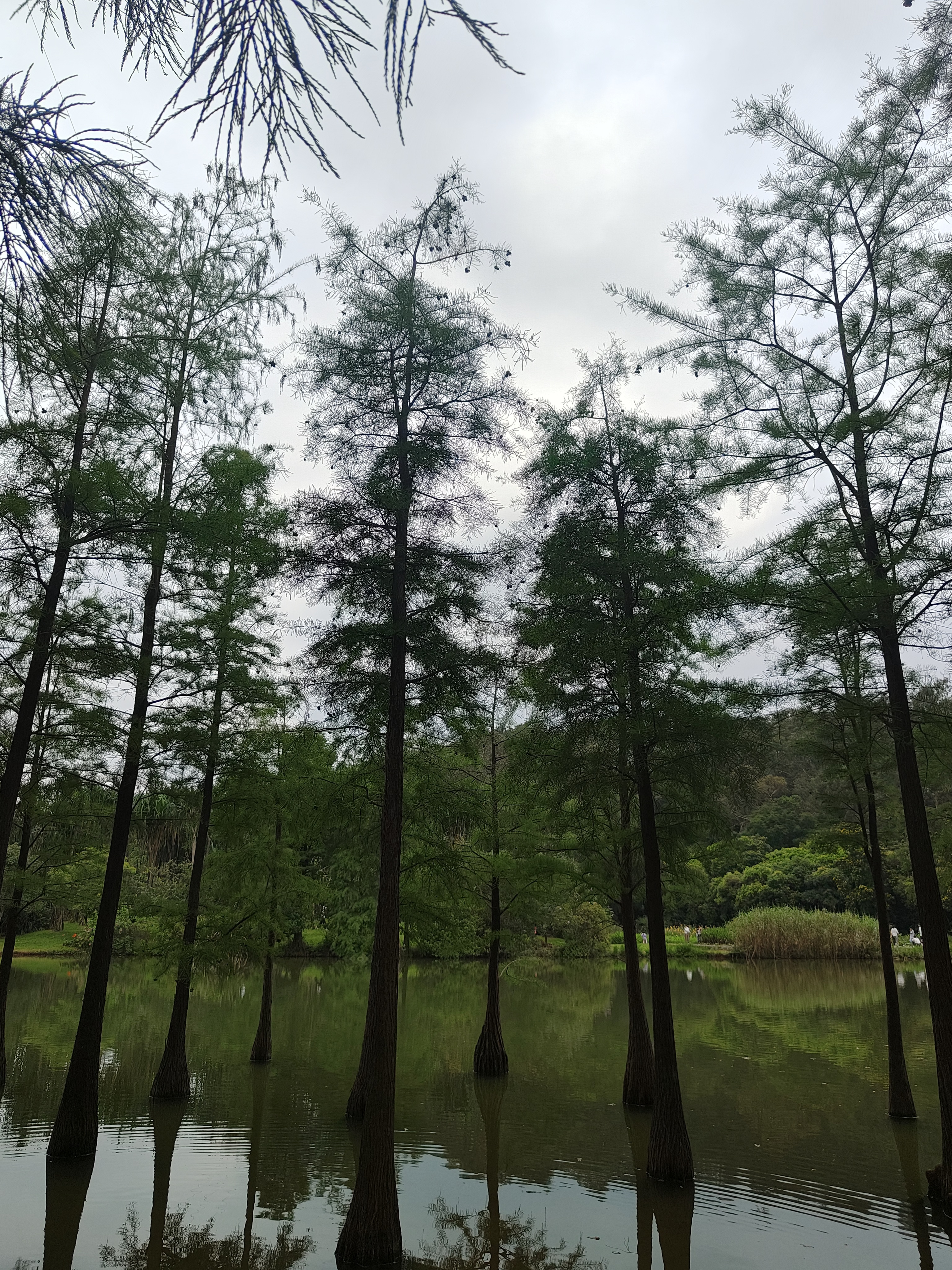 相册照片