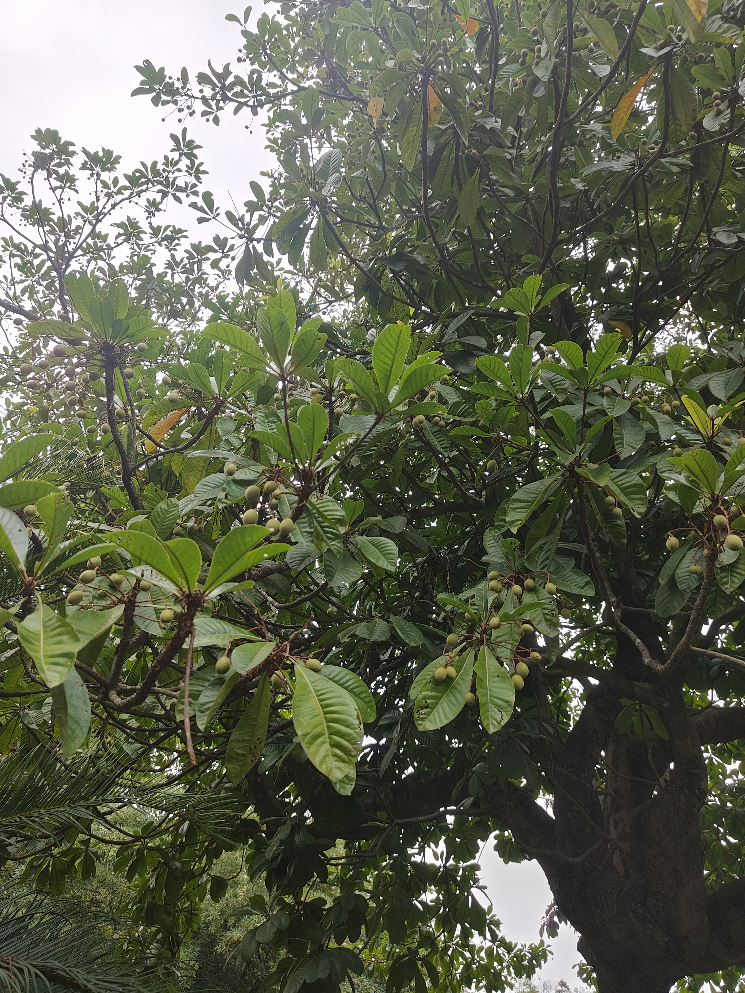 相册照片