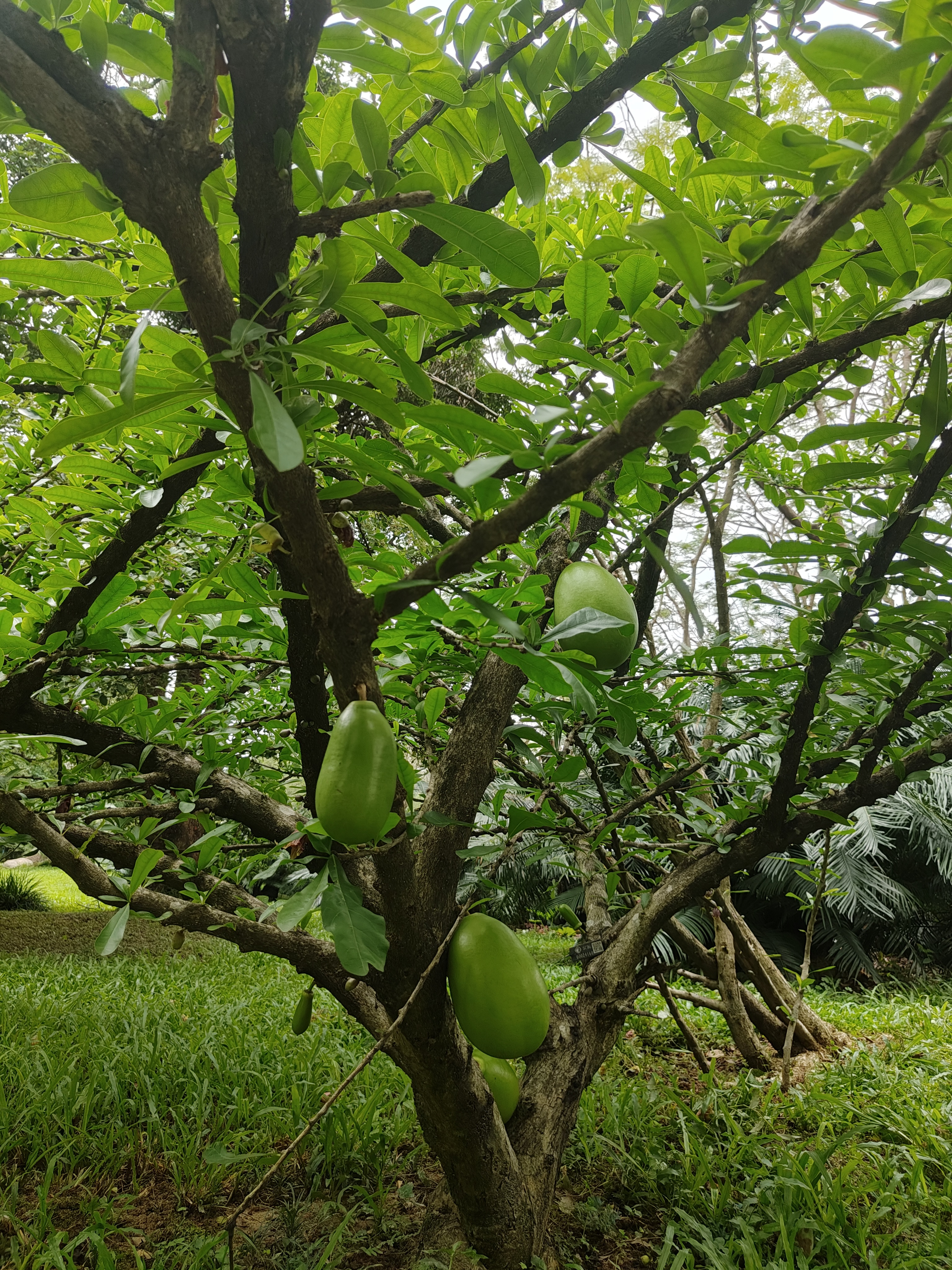 相册照片