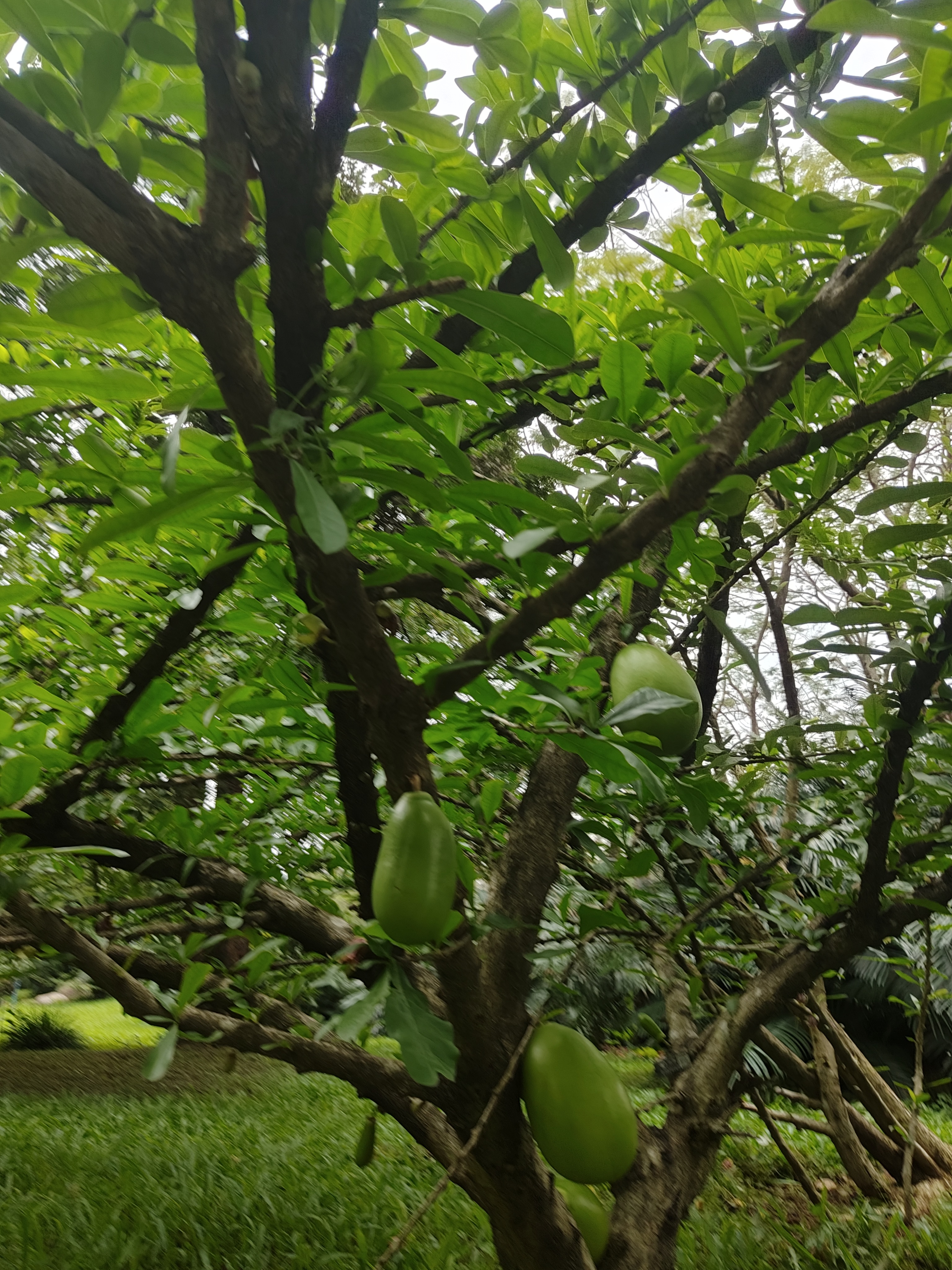 相册照片