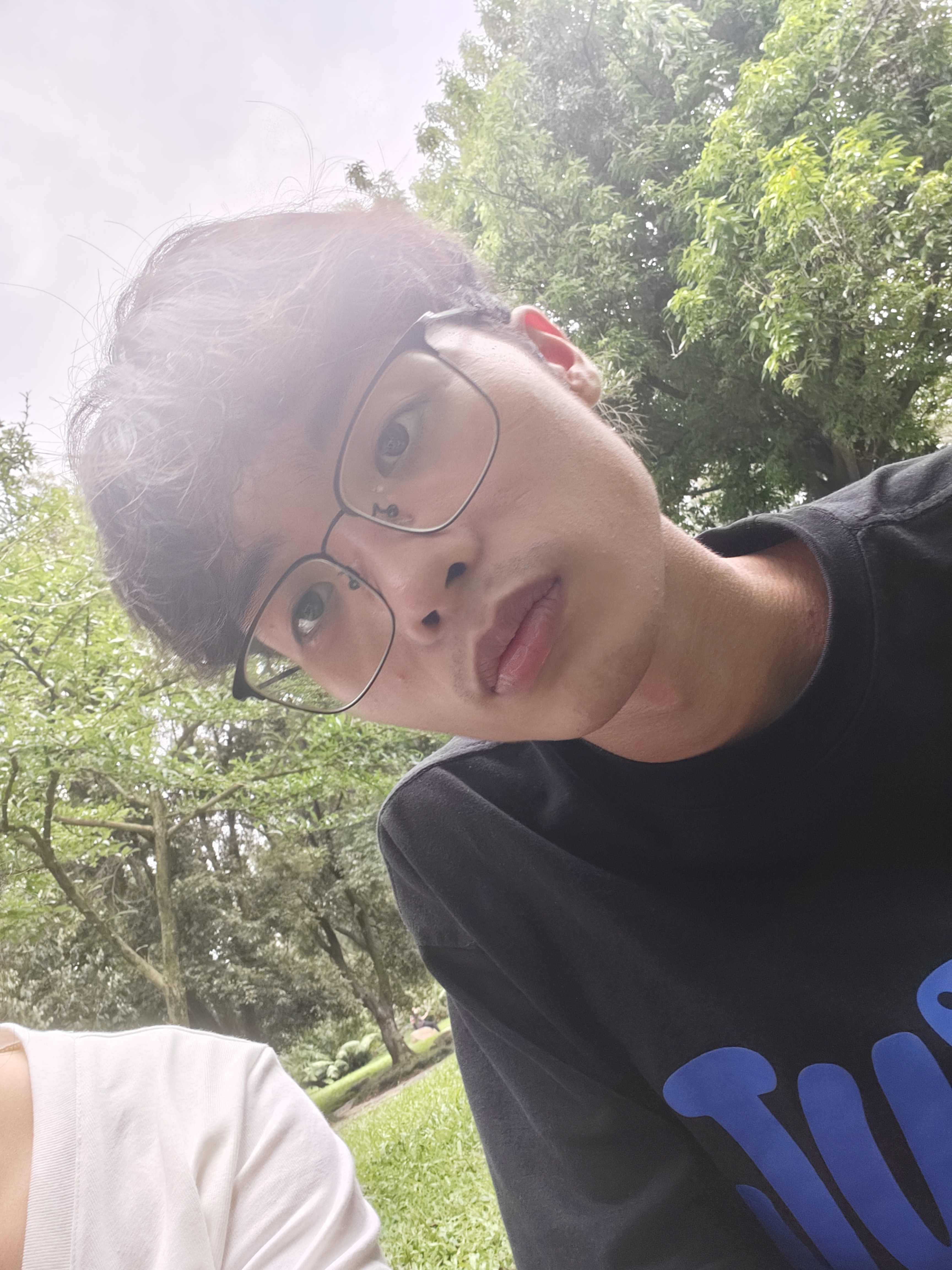 相册照片
