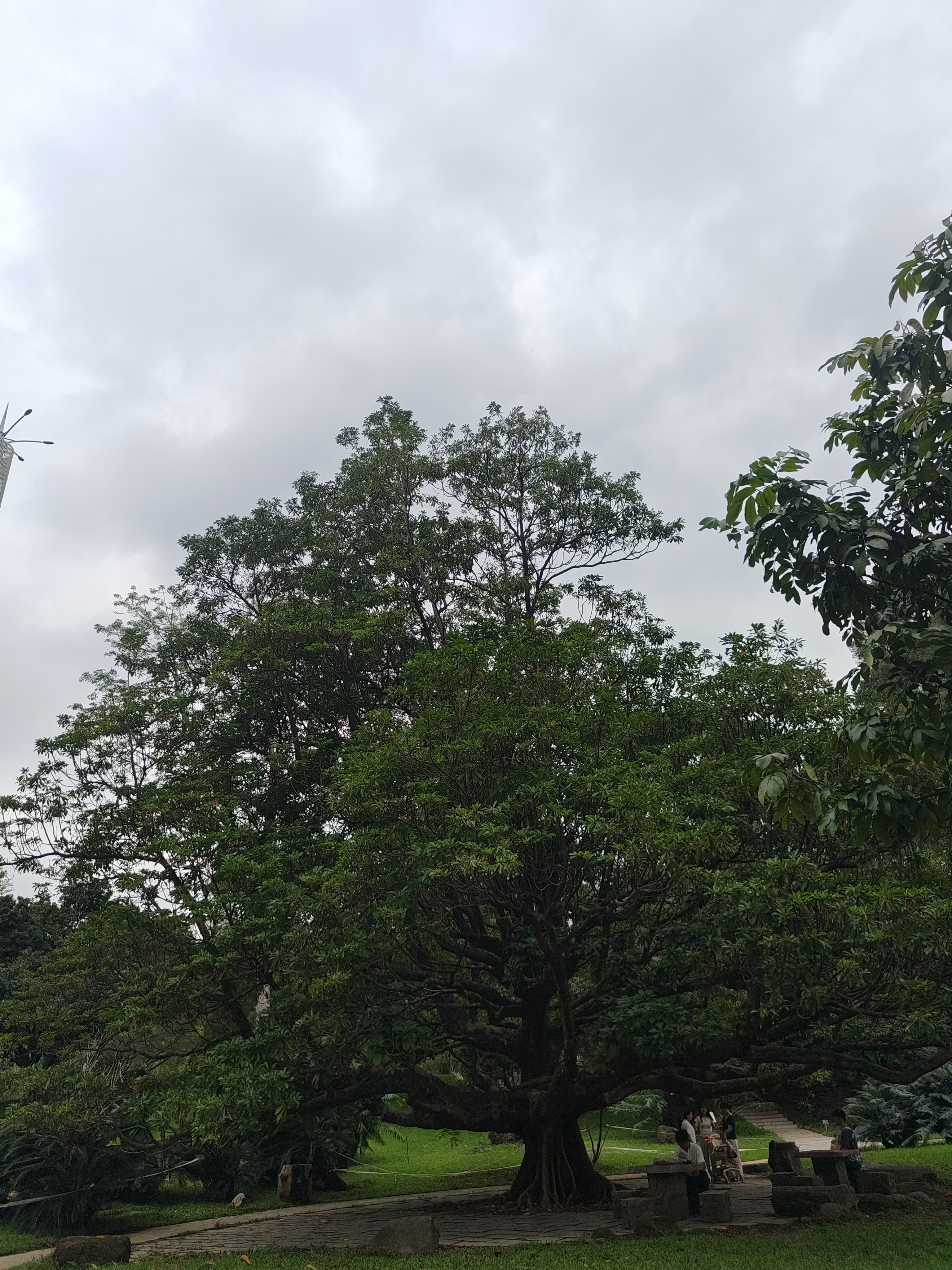 相册照片