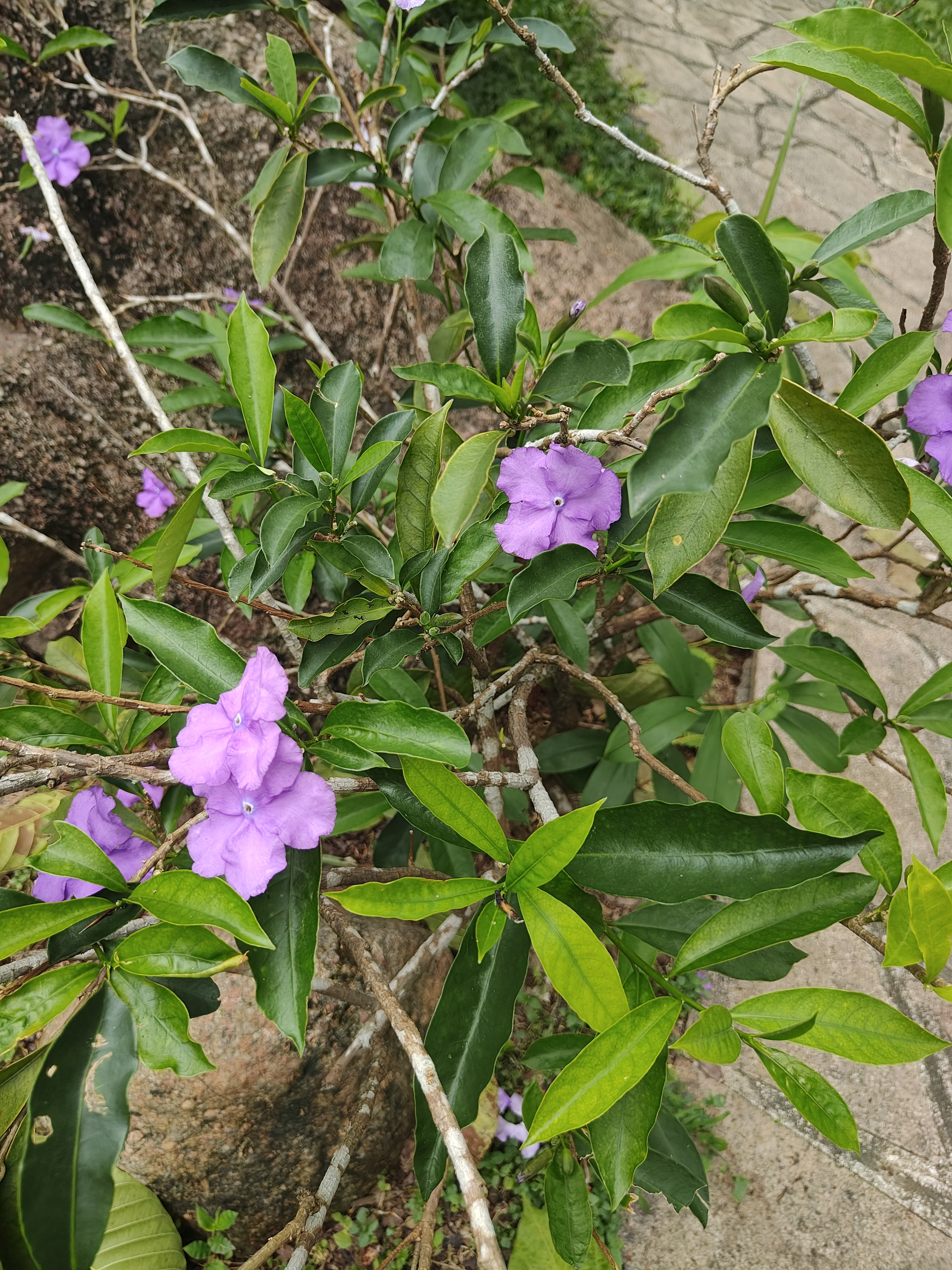 相册照片