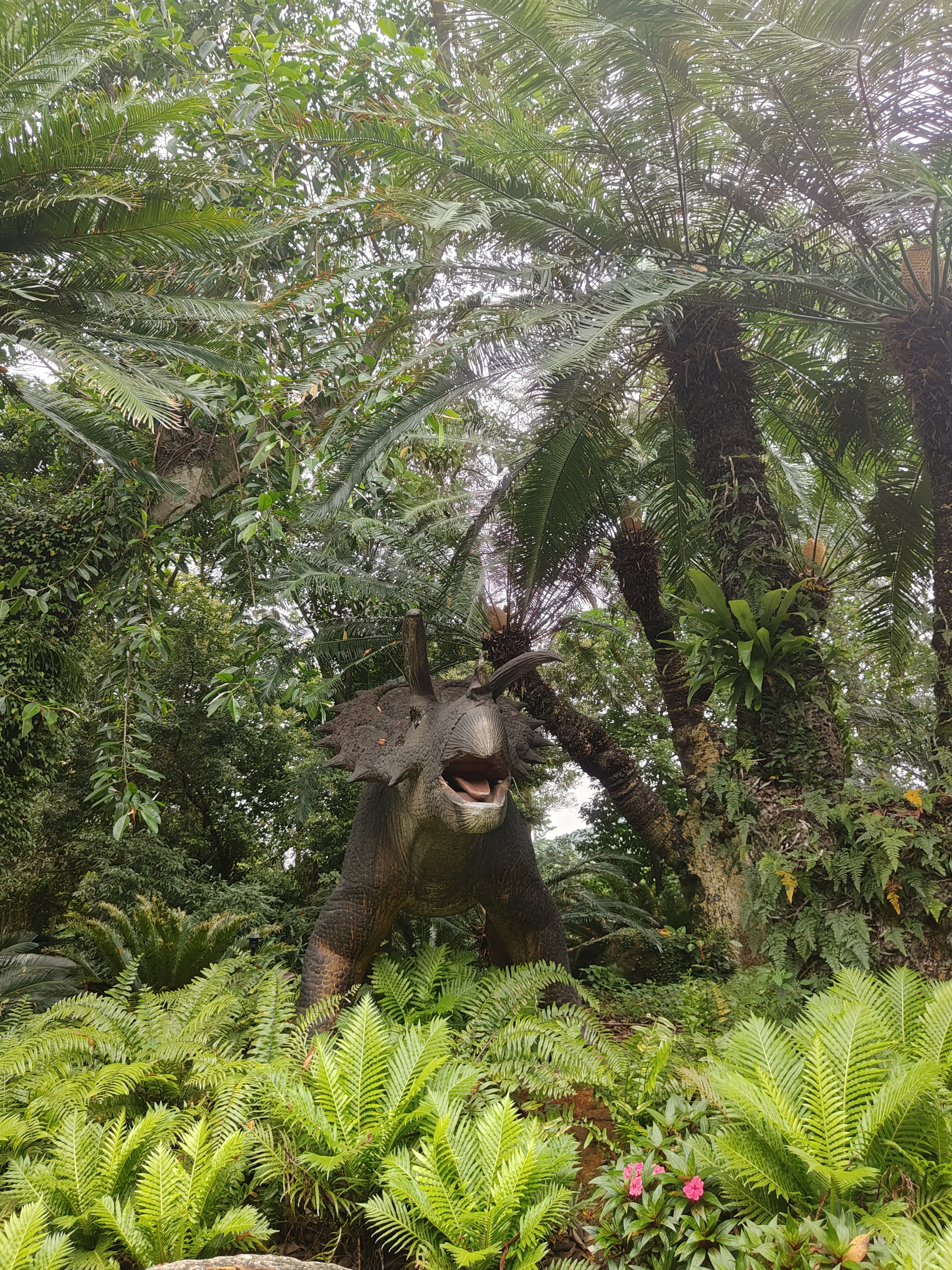 相册照片