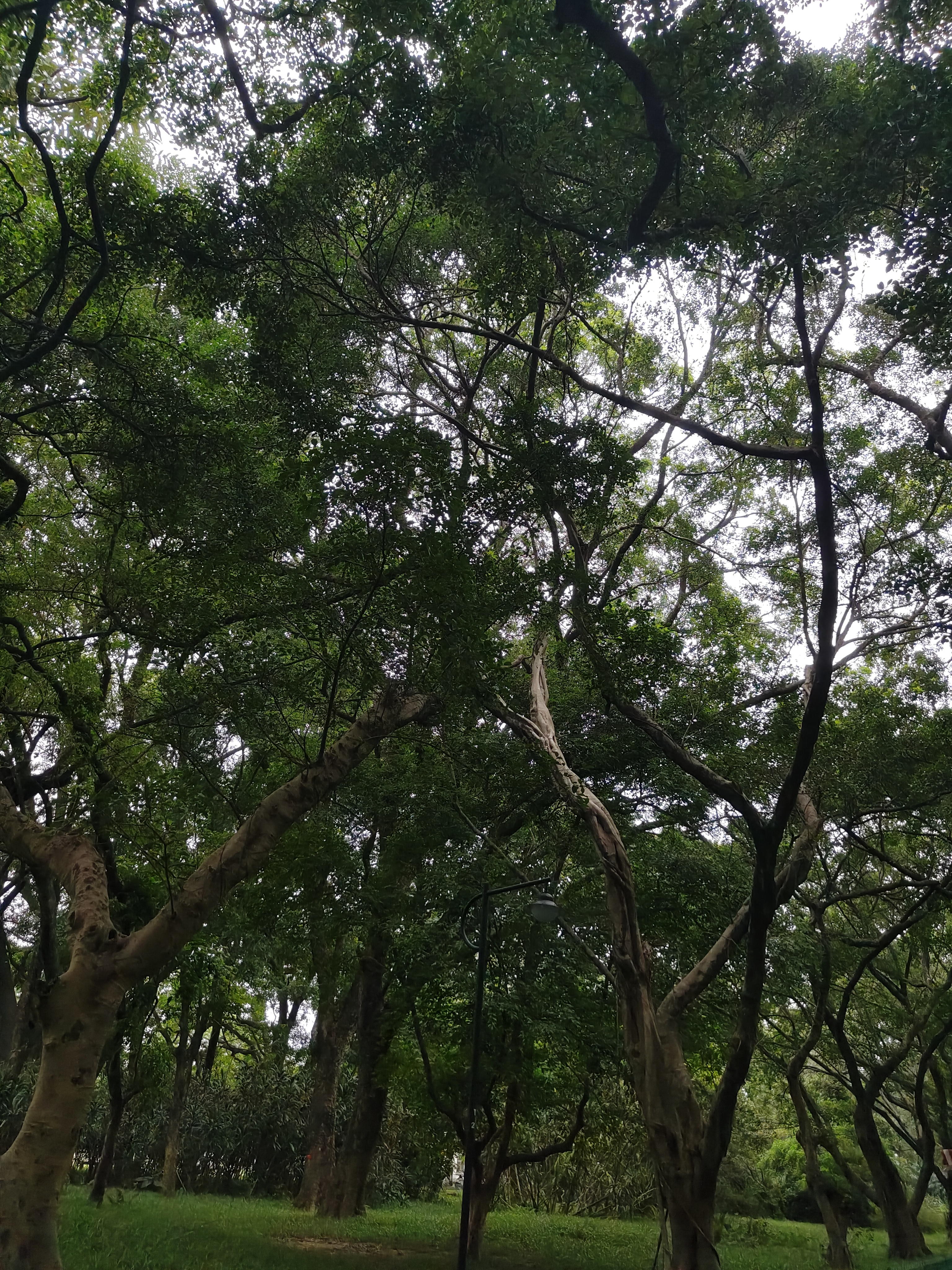 相册照片