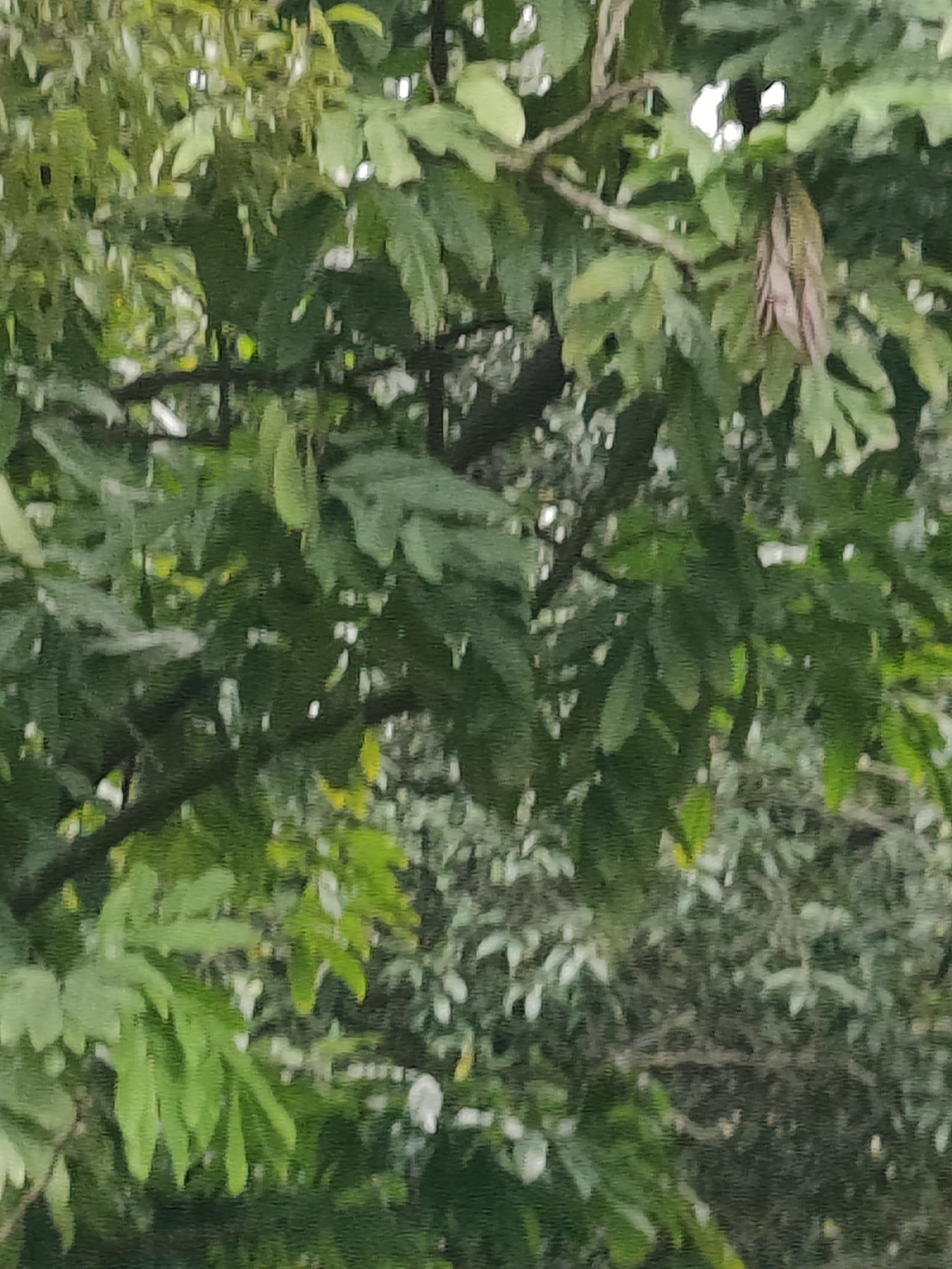 相册照片