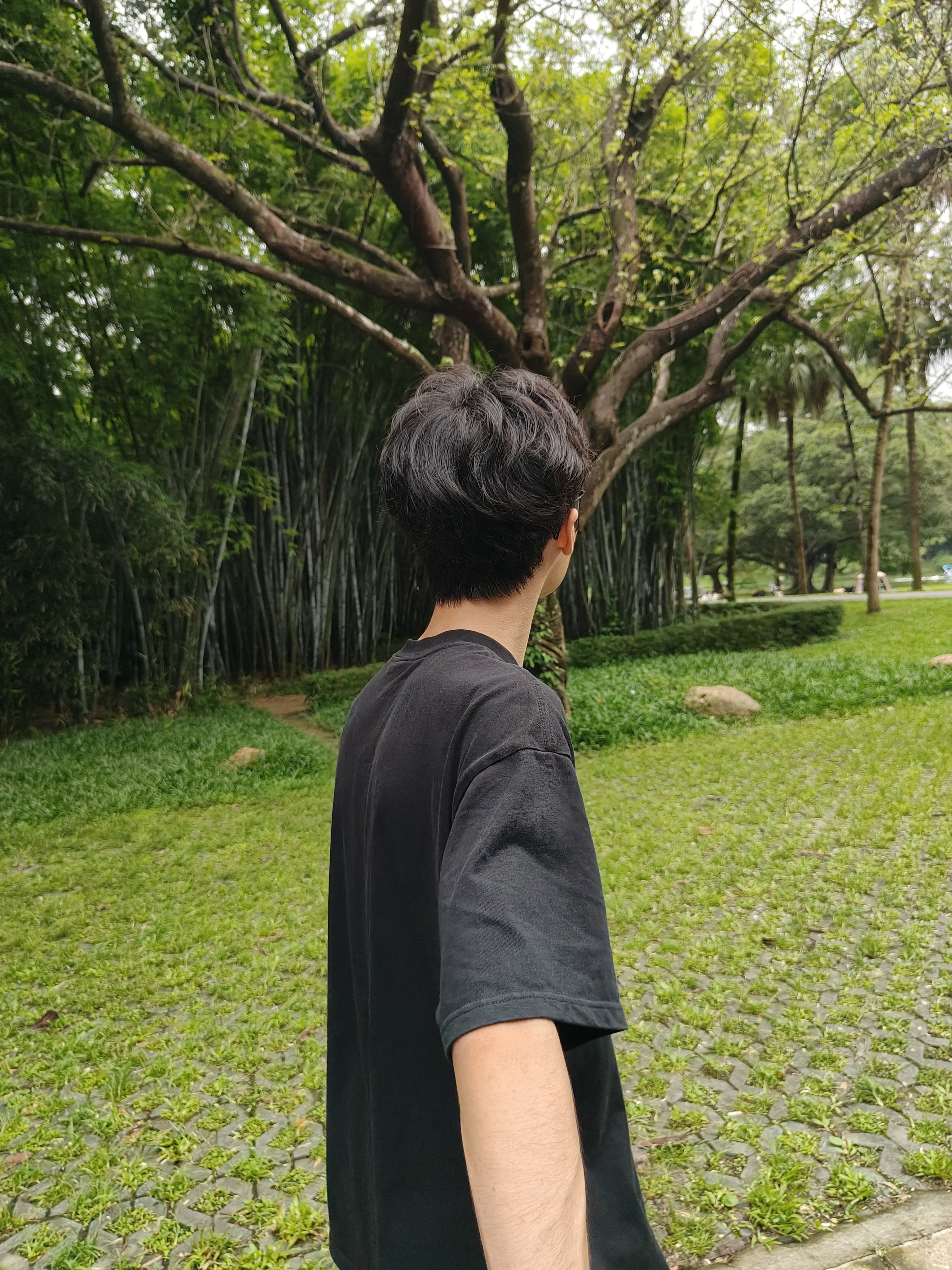 相册照片