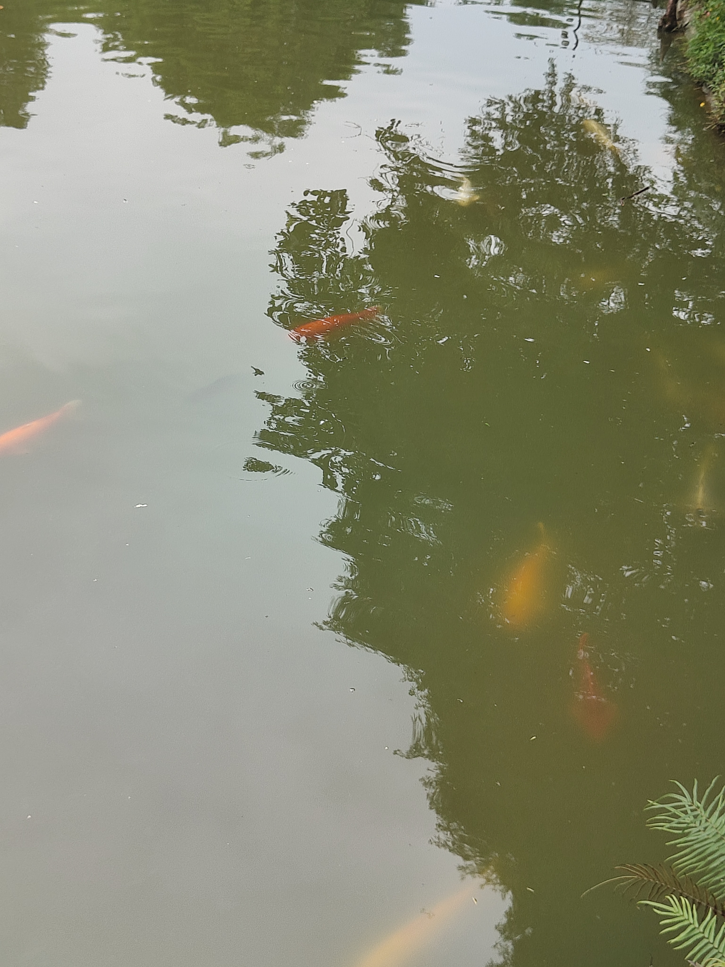 相册照片