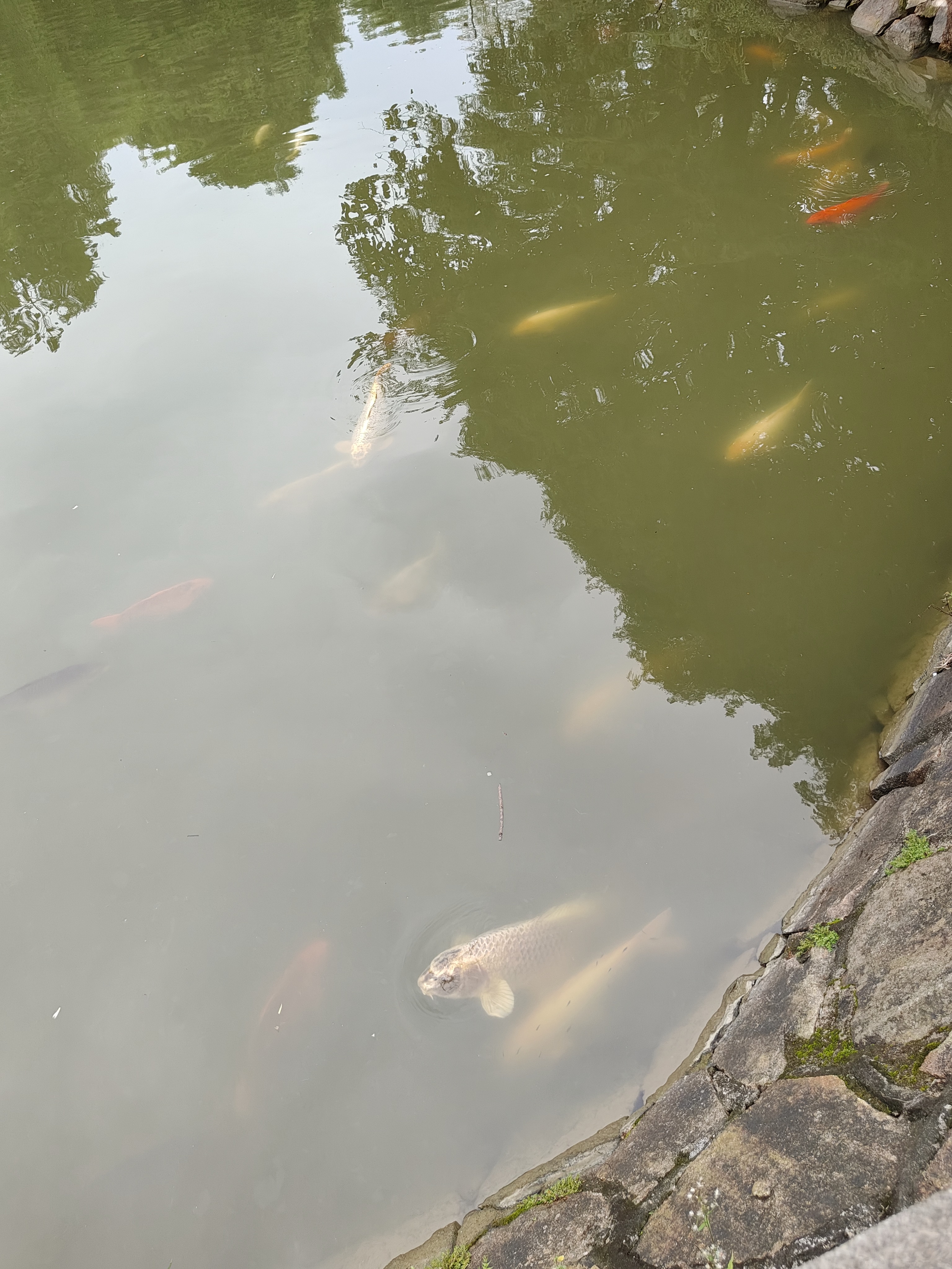 相册照片