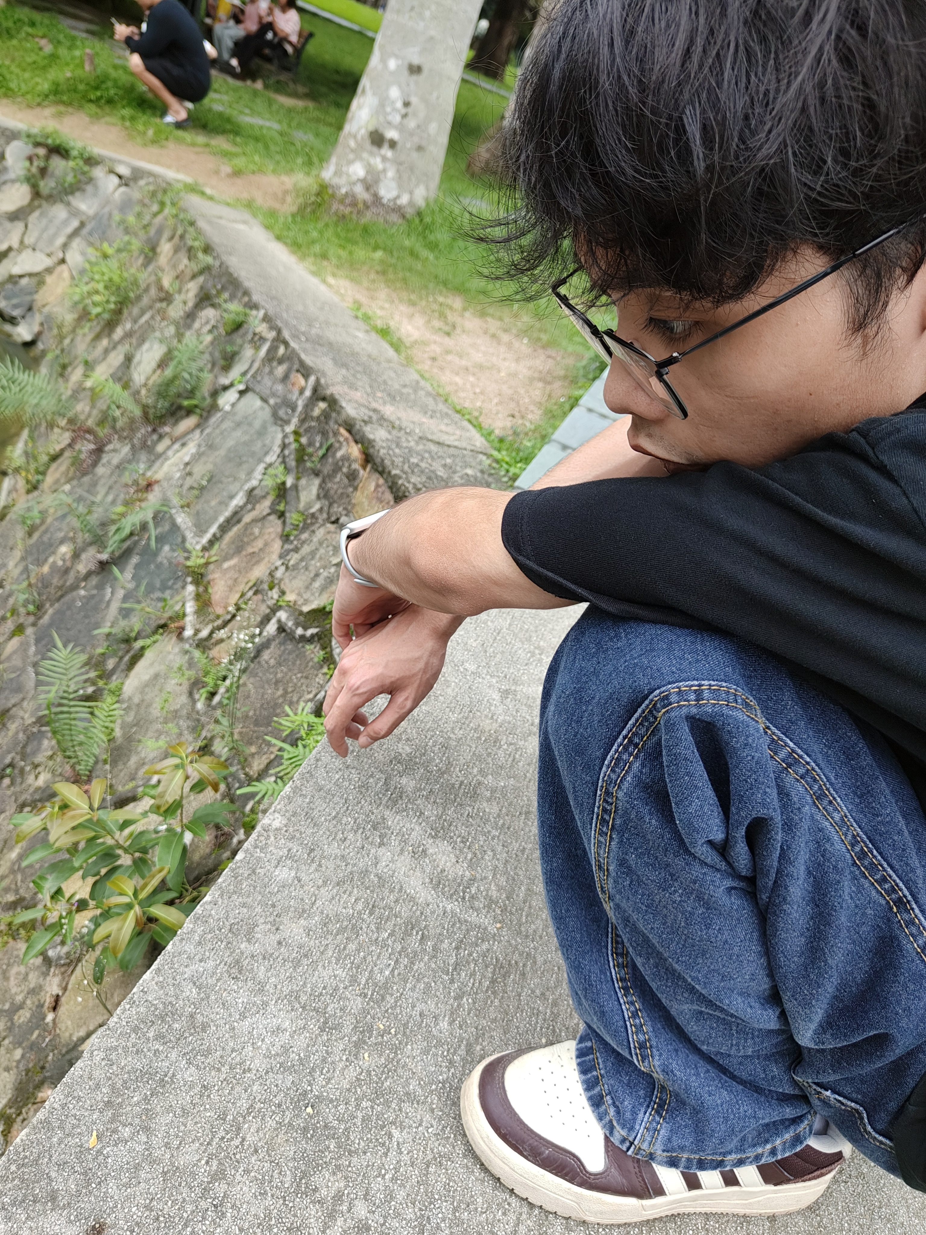相册照片