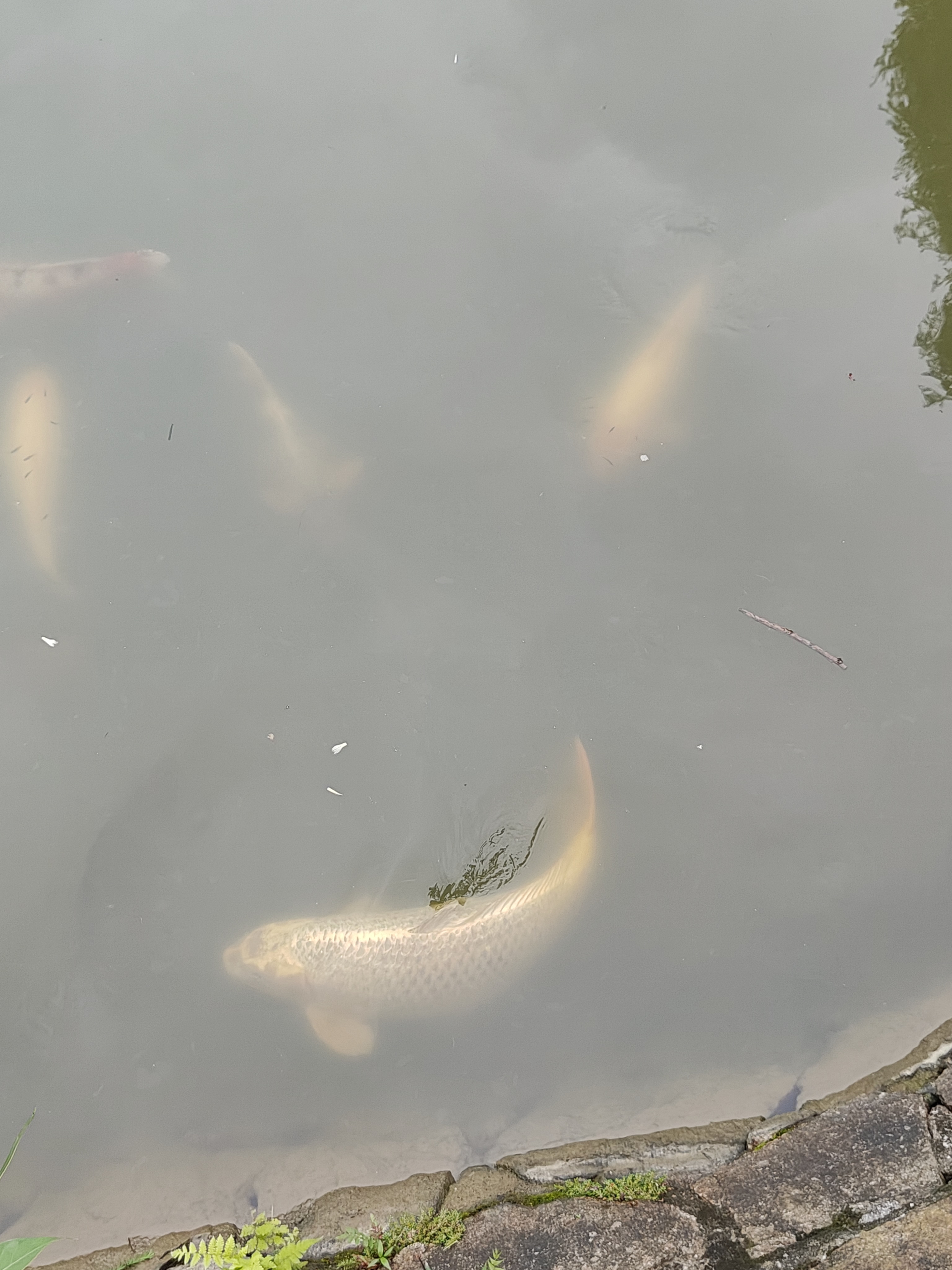 相册照片
