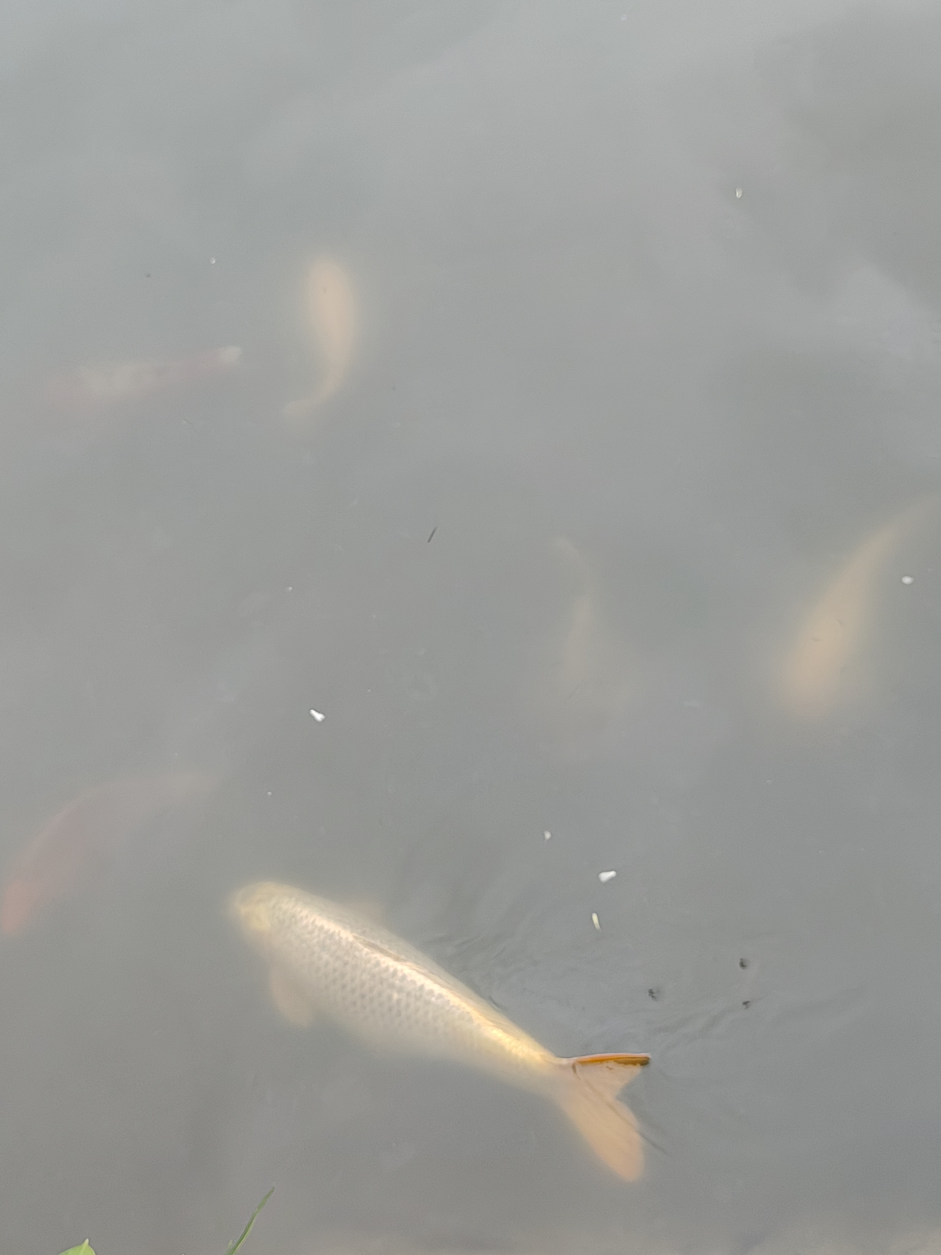 相册照片