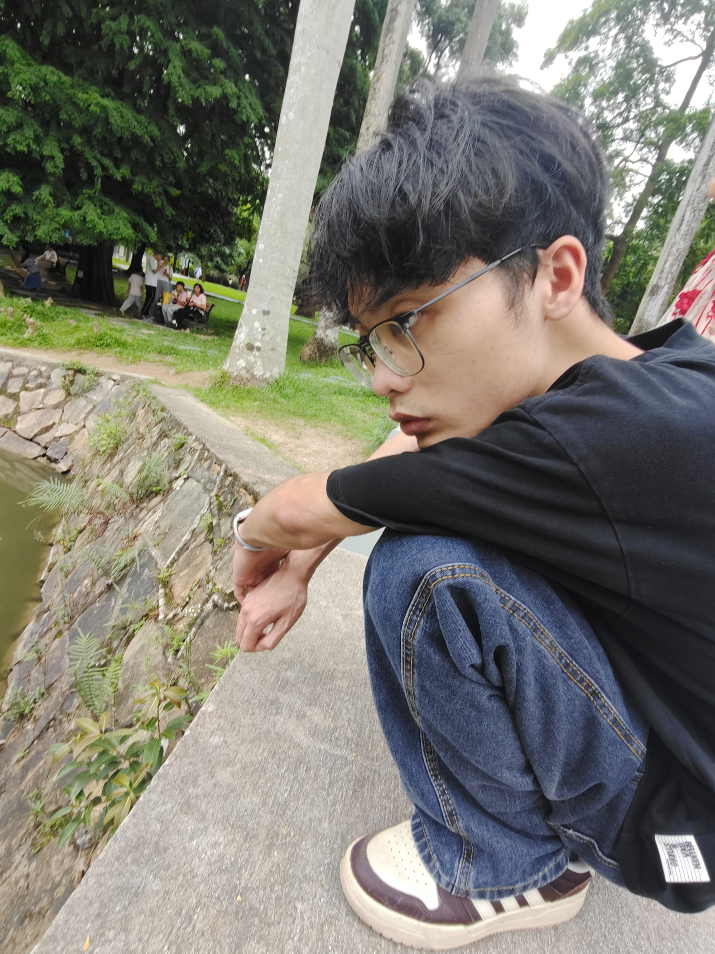 相册照片