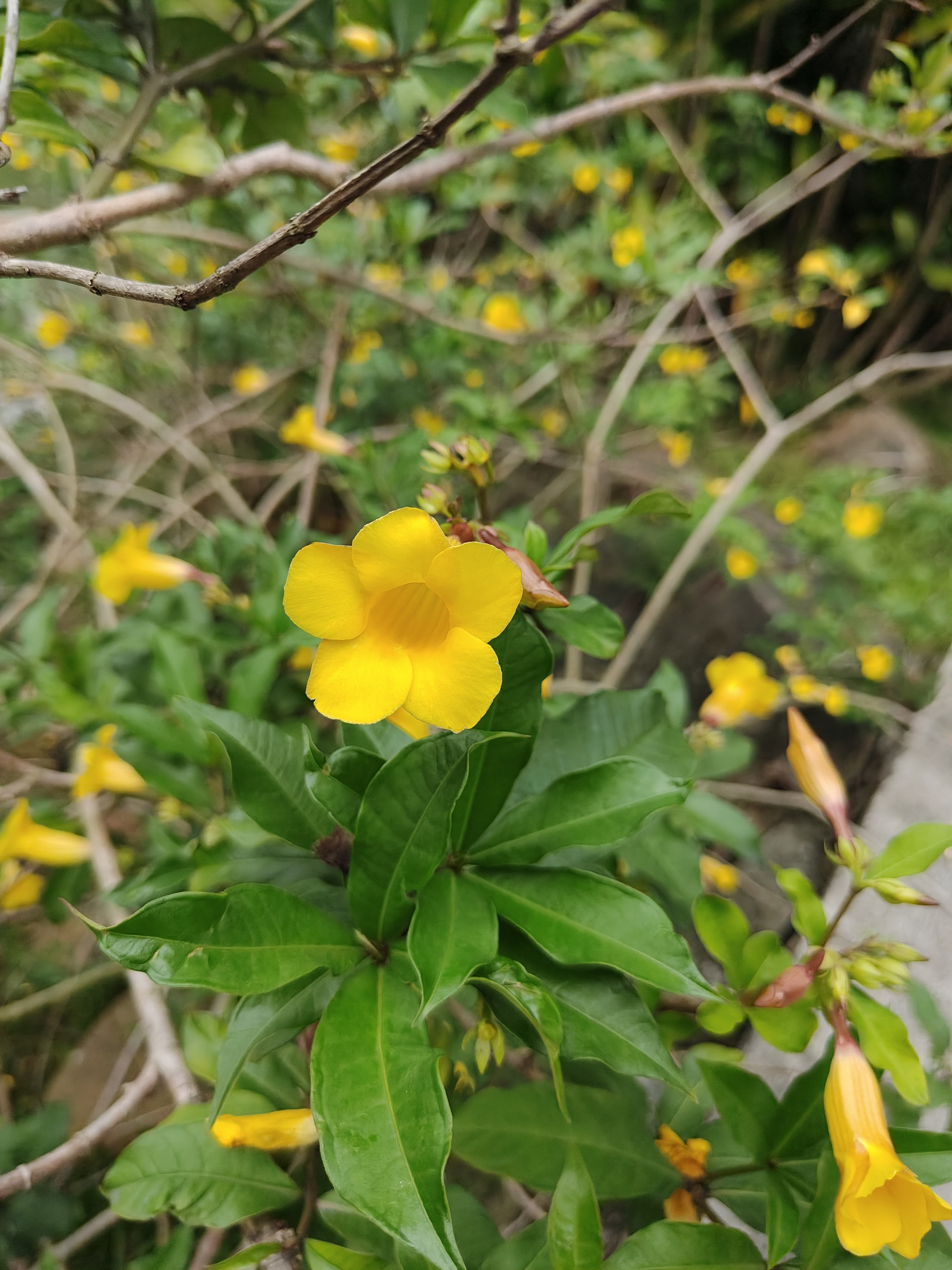 相册照片