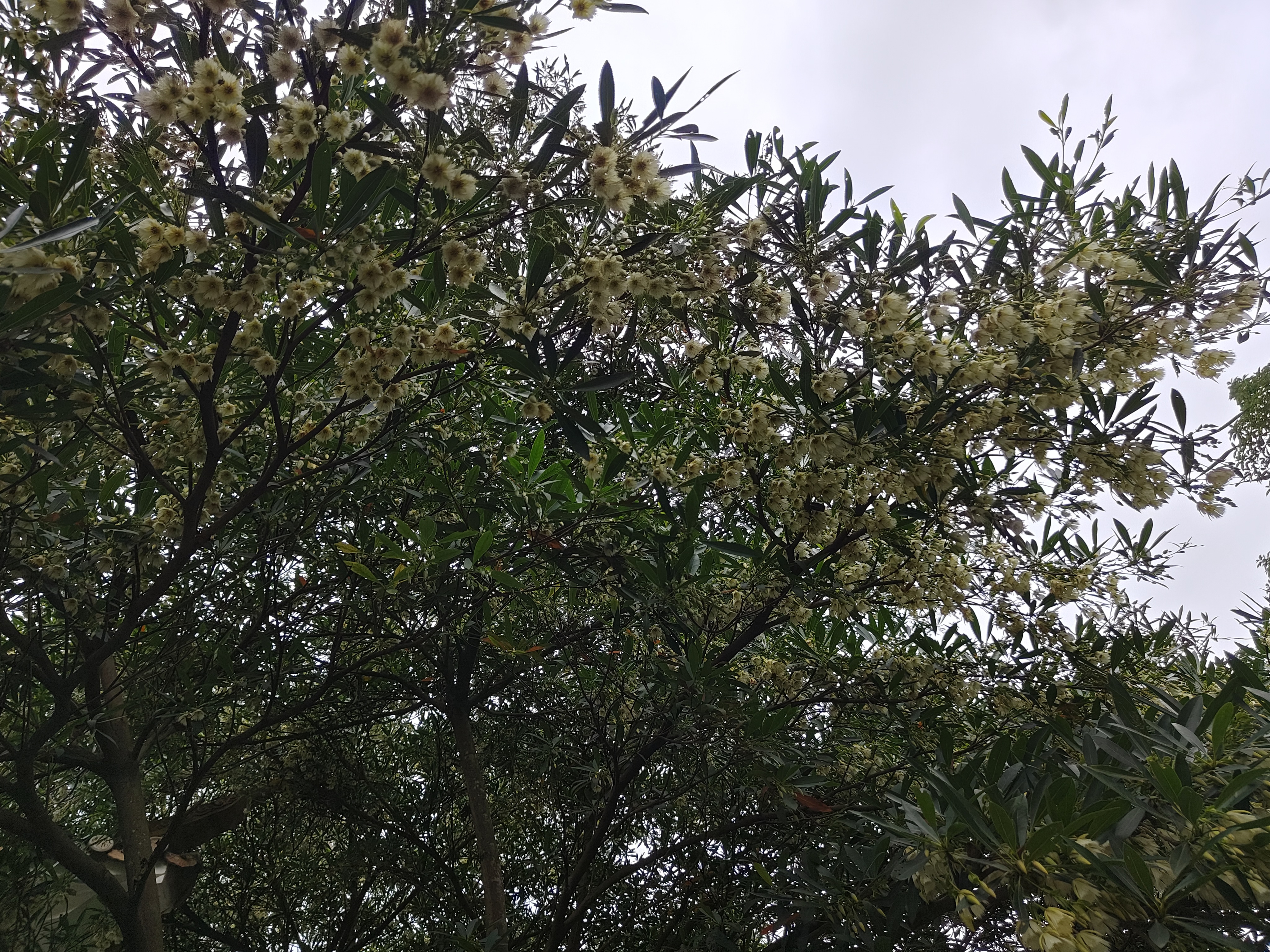 相册照片